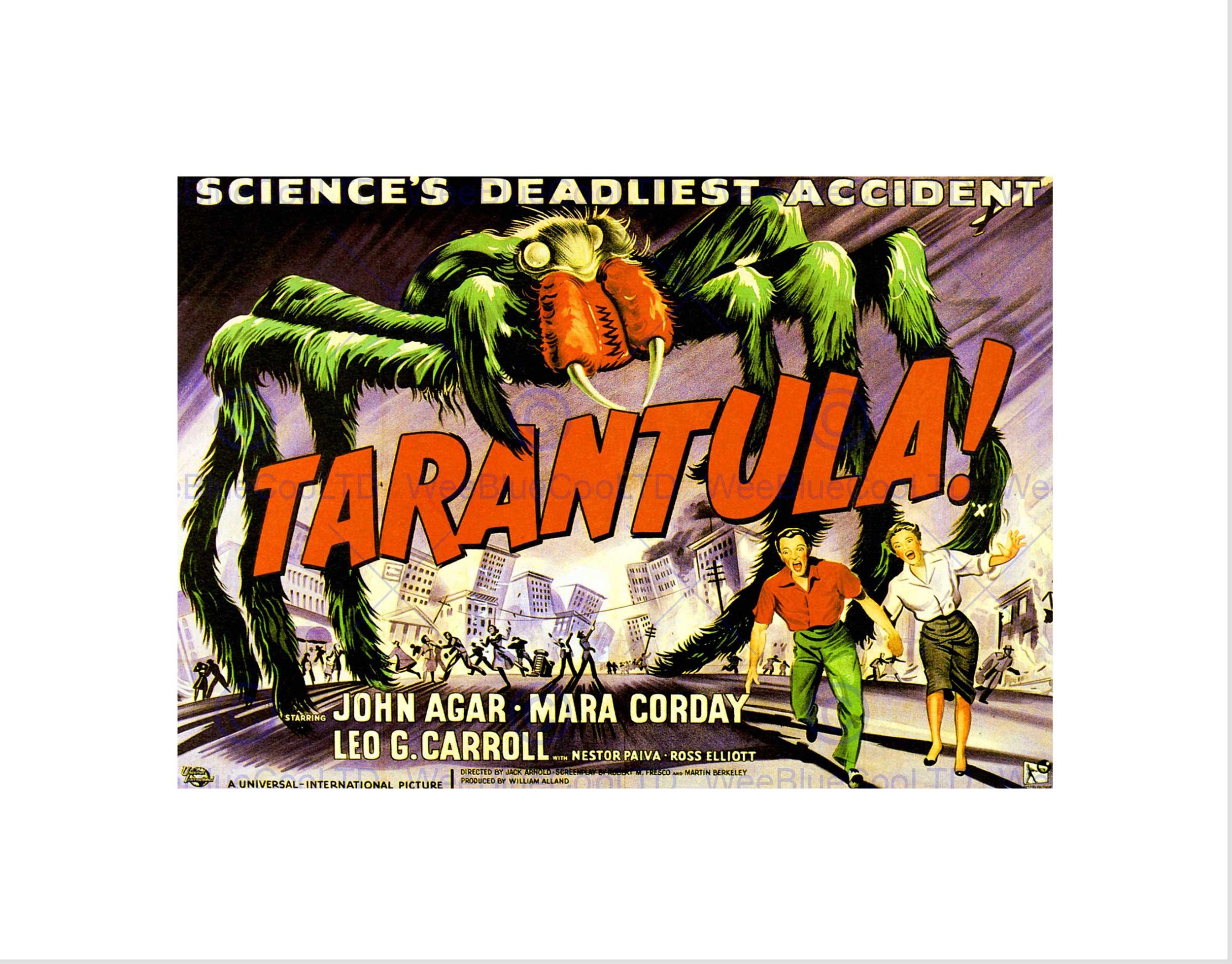 Wee Blue Coo Film Tarantula Giant Spider Horror Arachnophobia Sci Fi Art Wall Art Print
