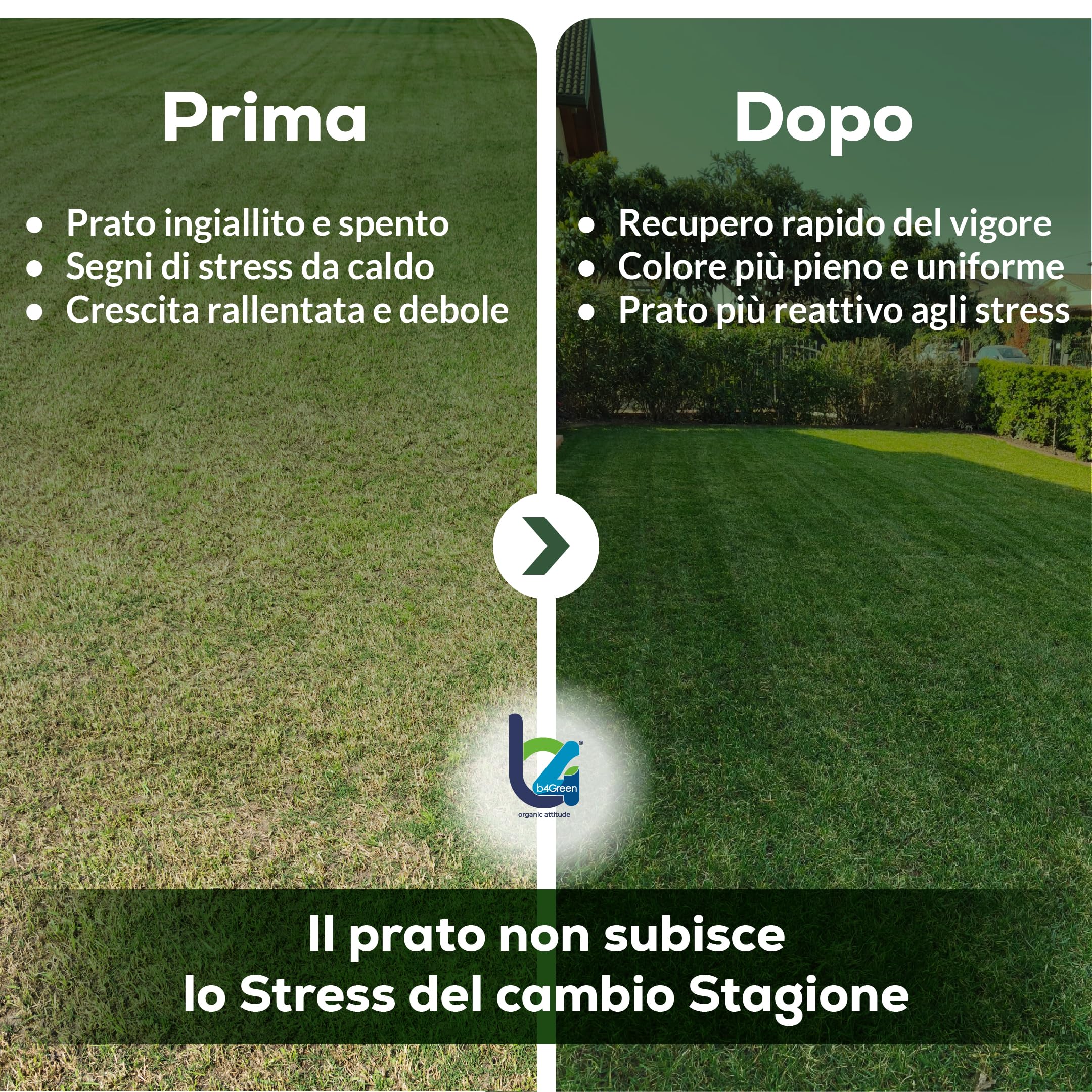 B4Green Soccorre (500m²) – Rinverdente Prato Estate, Biostimolante per Piante Naturale Liquido contro Ingiallimento e Stress da Caldo per Prato Verde e Resistente 250ml