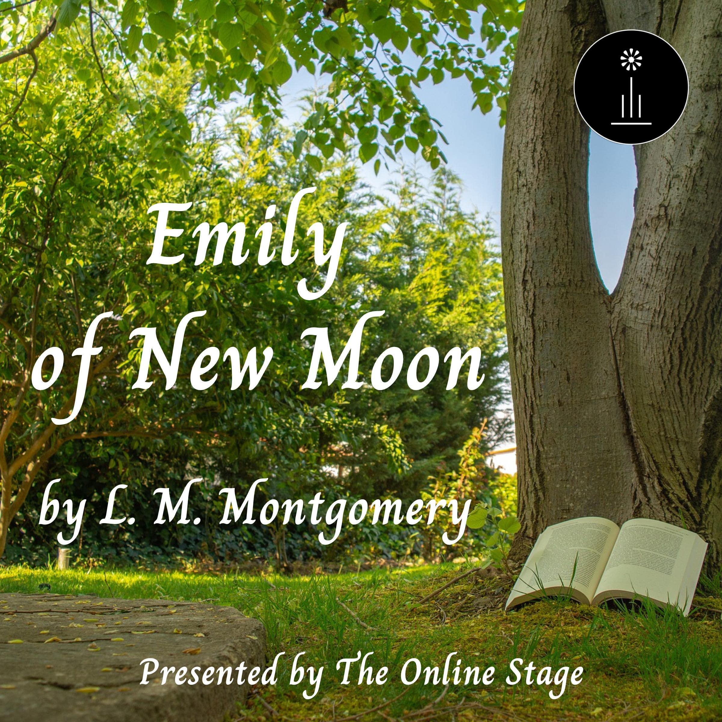 Cover art for Emily of New Moon
