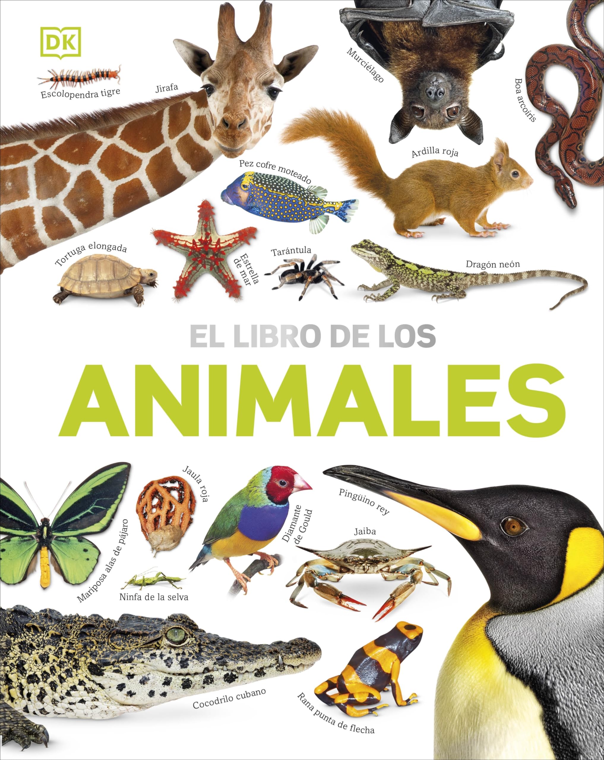 El libro de los animales (Enciclopedia visual juvenil)