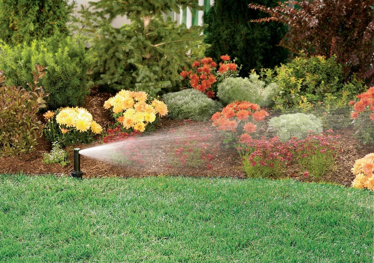 Orbit 55069 4" Popup Gear Sprinkler,Black