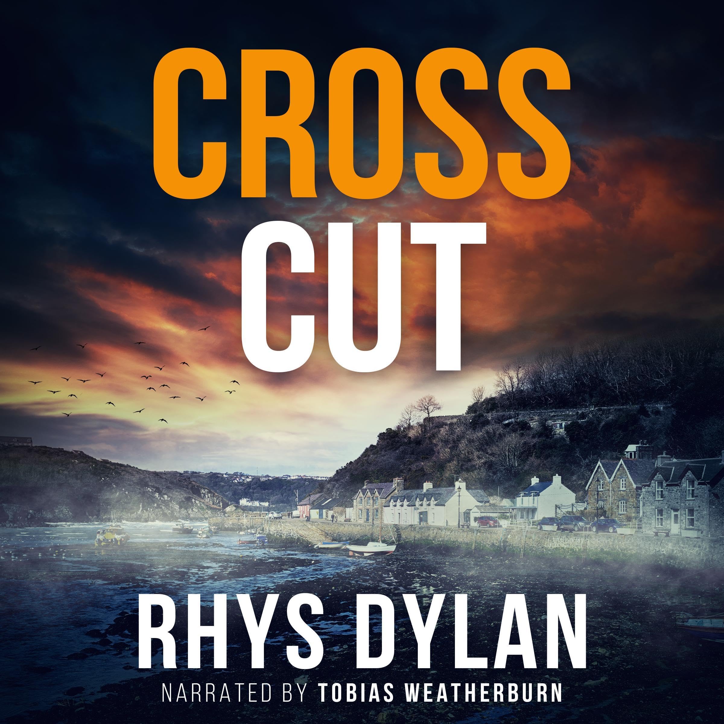 Cover art for Cross Cut
