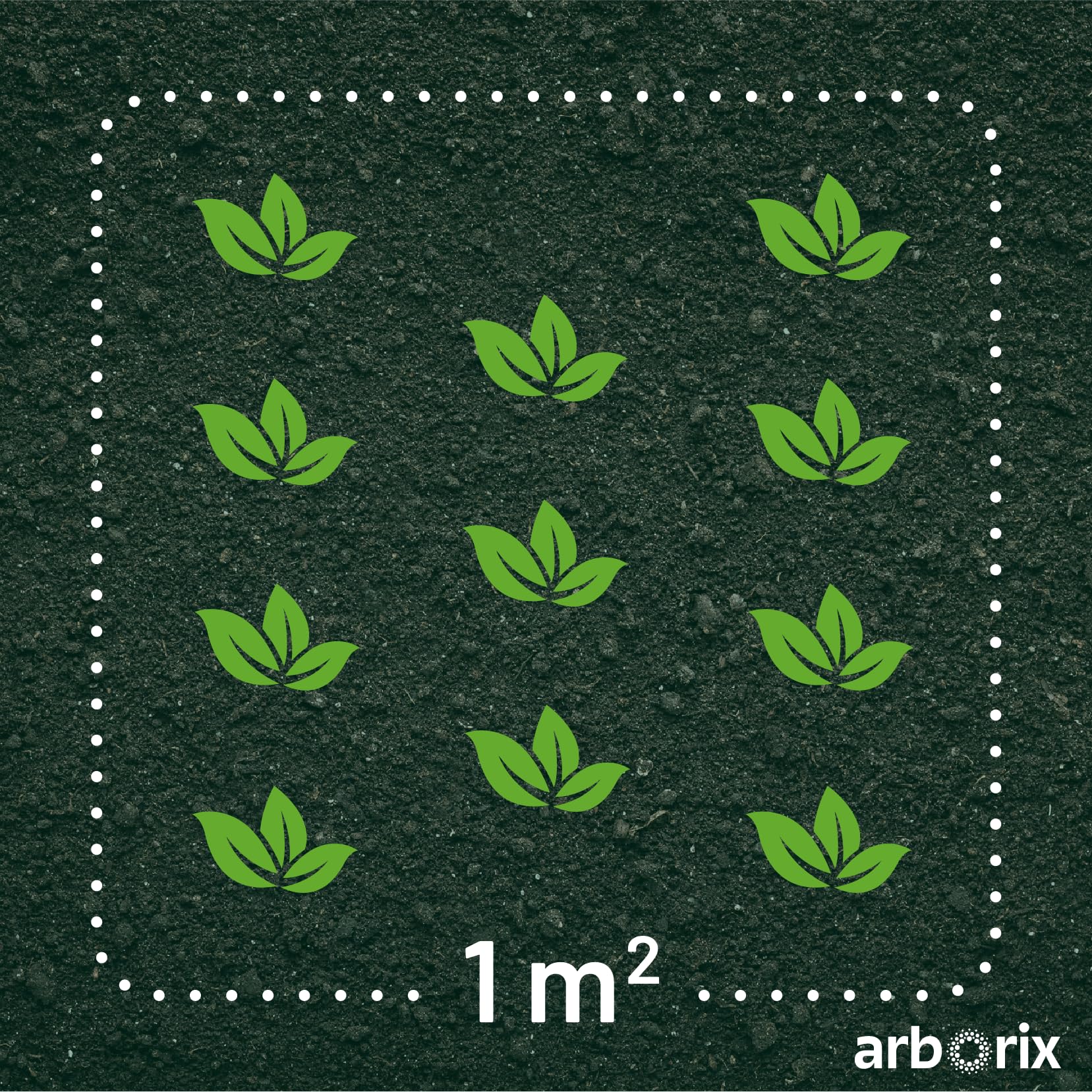12 unidades o 1 m² Tomillo precoz 'Coccineus' - Thymus Praecox 'Coccineus' Maceta 9x9 cm
