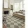Loloi Chris Loves Julia Francis Collection FRA-01 Spa/Granite 2'-0" x 5'-0" Accent Rug