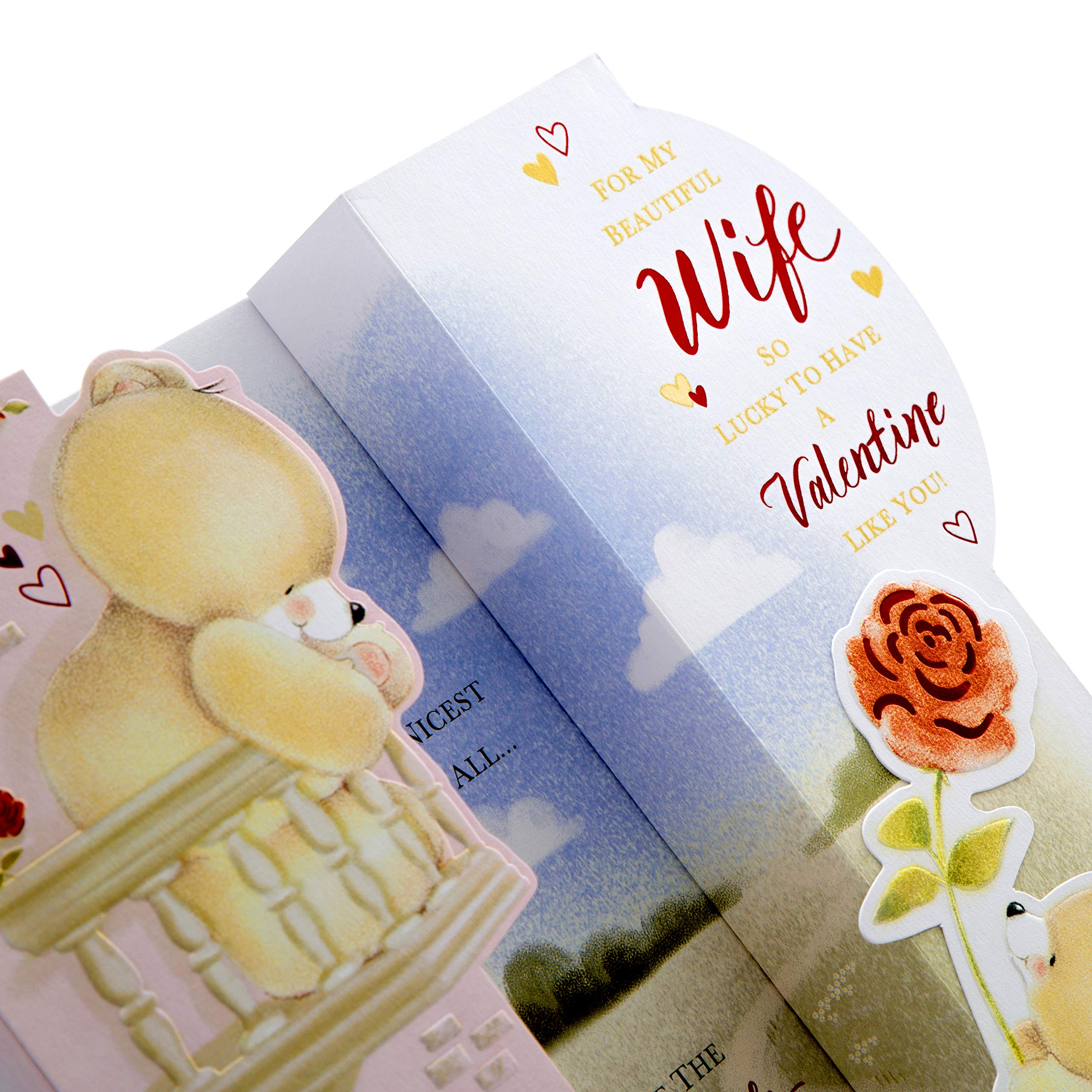 Kartka walentynkowa dla żony z Hallmark - uroczy wzór 3D Pop-out, wzór 'Forever Friends'