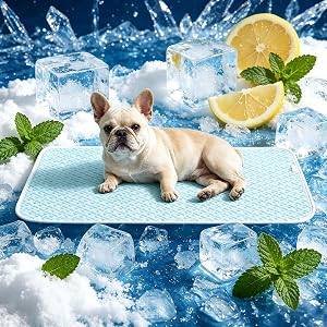 Pet Supplies