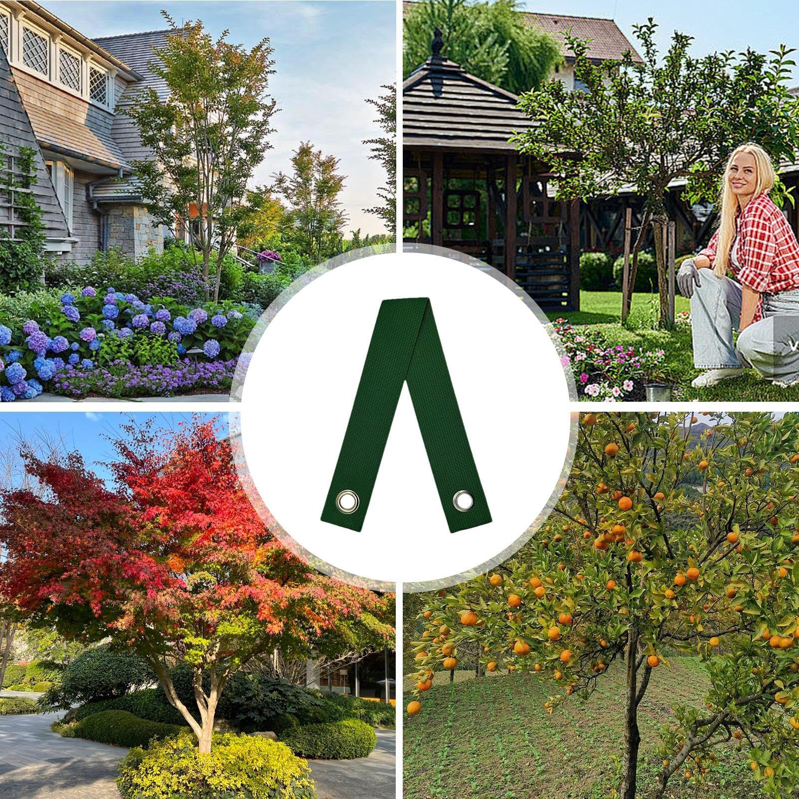 6 Cinghie Di Supporto Per Alberi Con Occhielli In Acciaio – Per Piante, Rami E Giovani Alberelli – Fissaggio Resistente E Antiabrasione