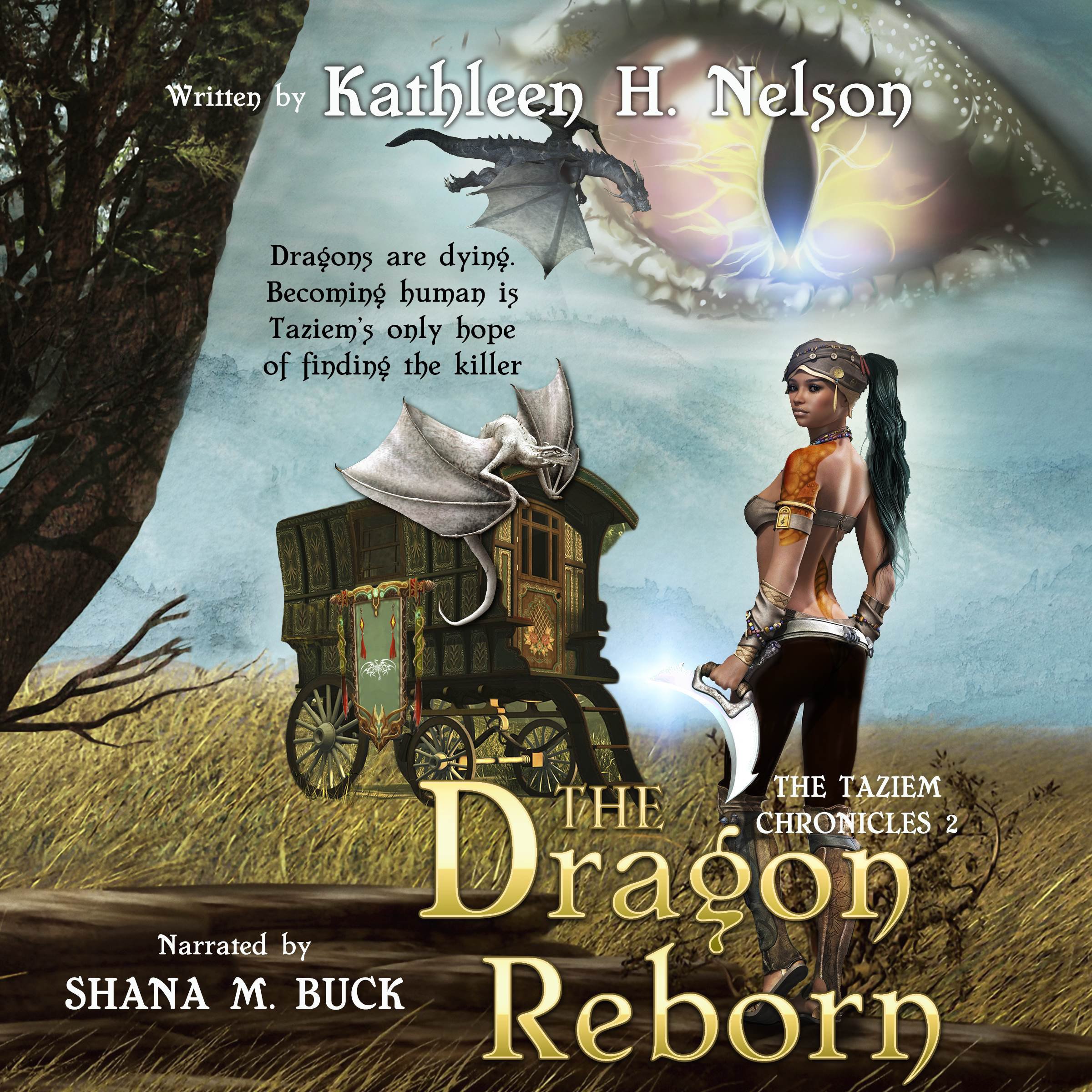 Cover art for The Dragon Reborn