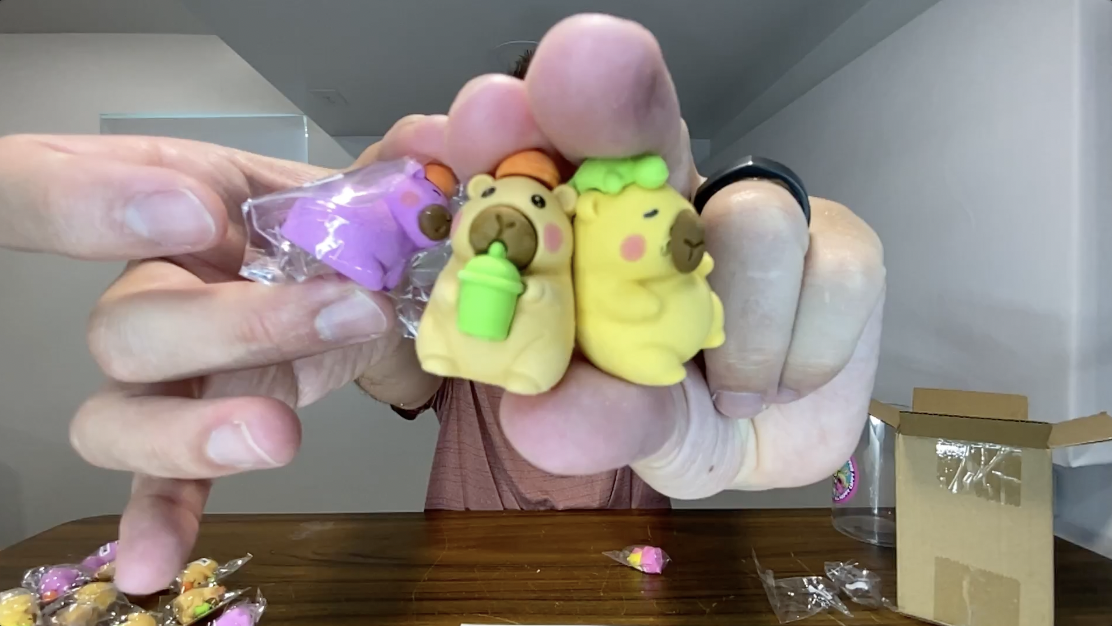 BEST Animal Erasers for Kids? | Cute Capybara 3D Eraser Pack