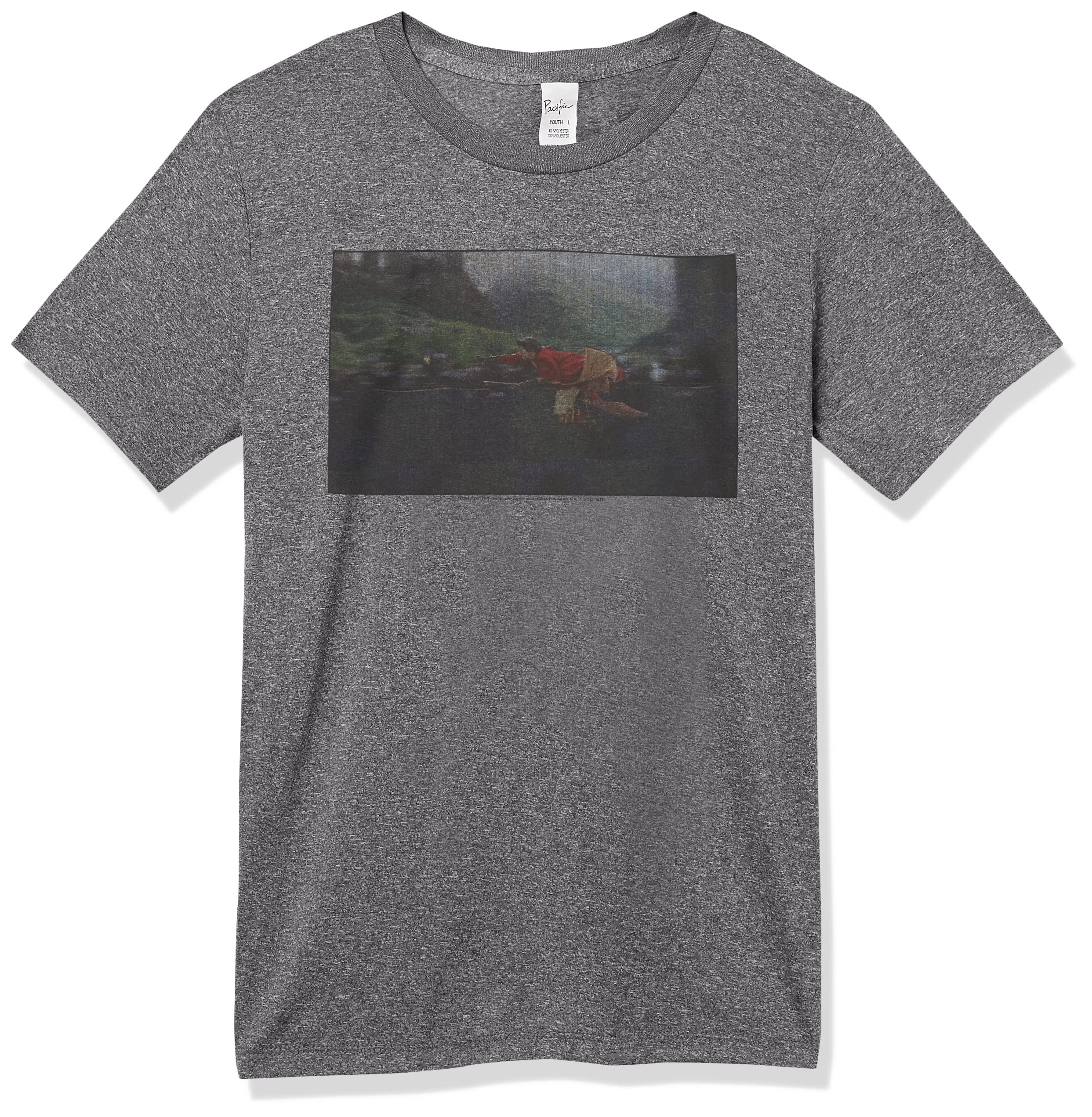 Harry Potter Kids' Catching The Snitch T-Shirt