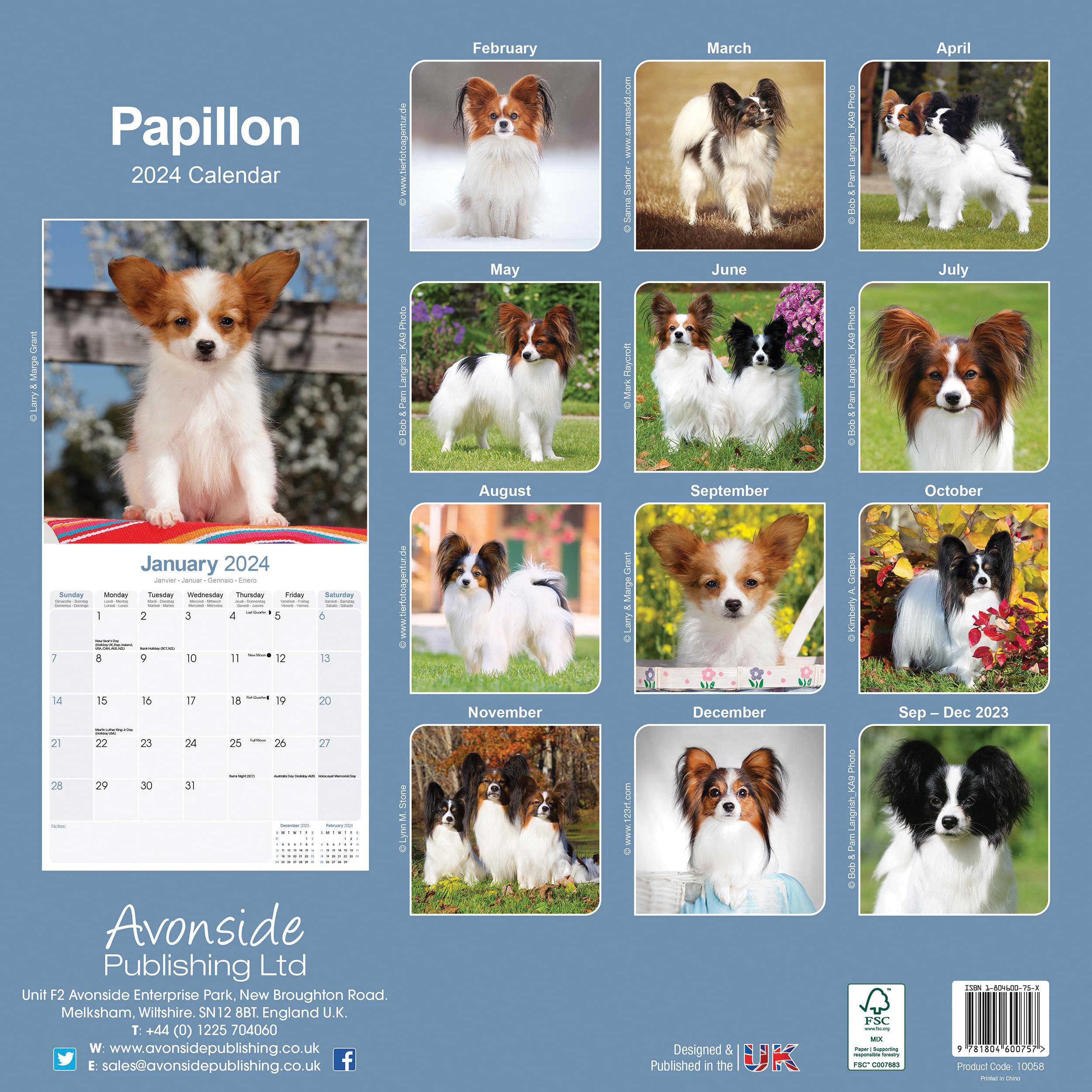 Papillon Calendar 2024 - Image 2