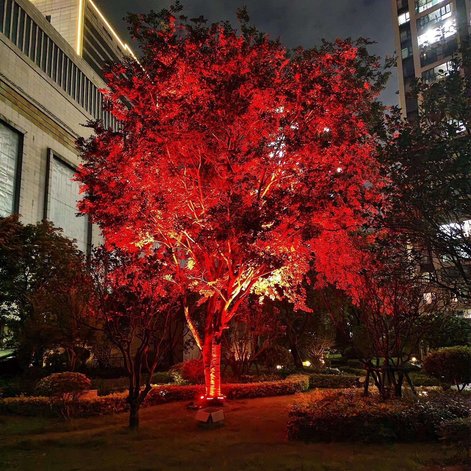 Luci per albero ad anello Rgb luci paesaggistiche cablate IP65 impermeabili