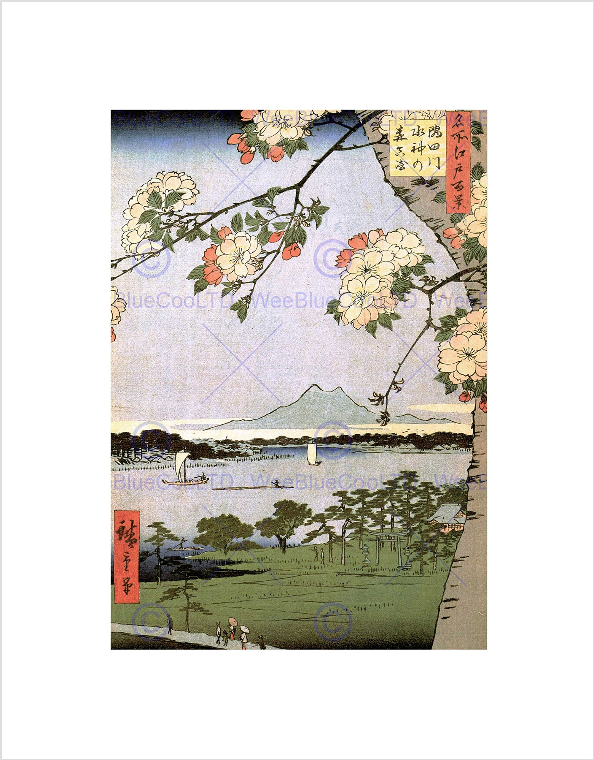 Wee Blue Coo Utagawa Hiroshige Japanese 100 Views Edo 035 Wall Art Print