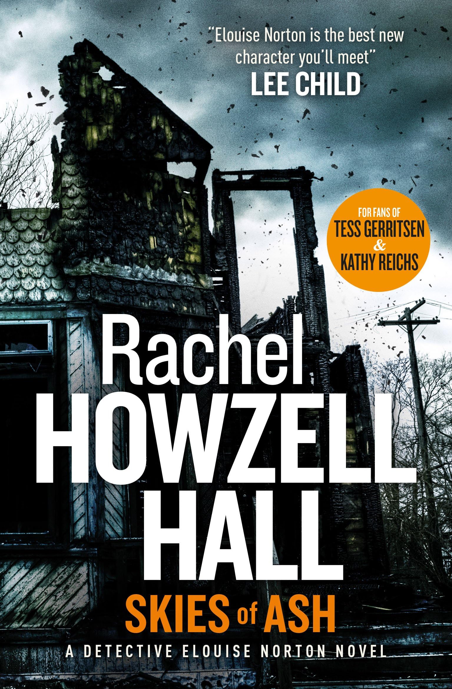 Rachel Howzell Hall Unisex Kids Multicolor Skies Of Ash: A Detective Elouise Norton Novel Paperback Book