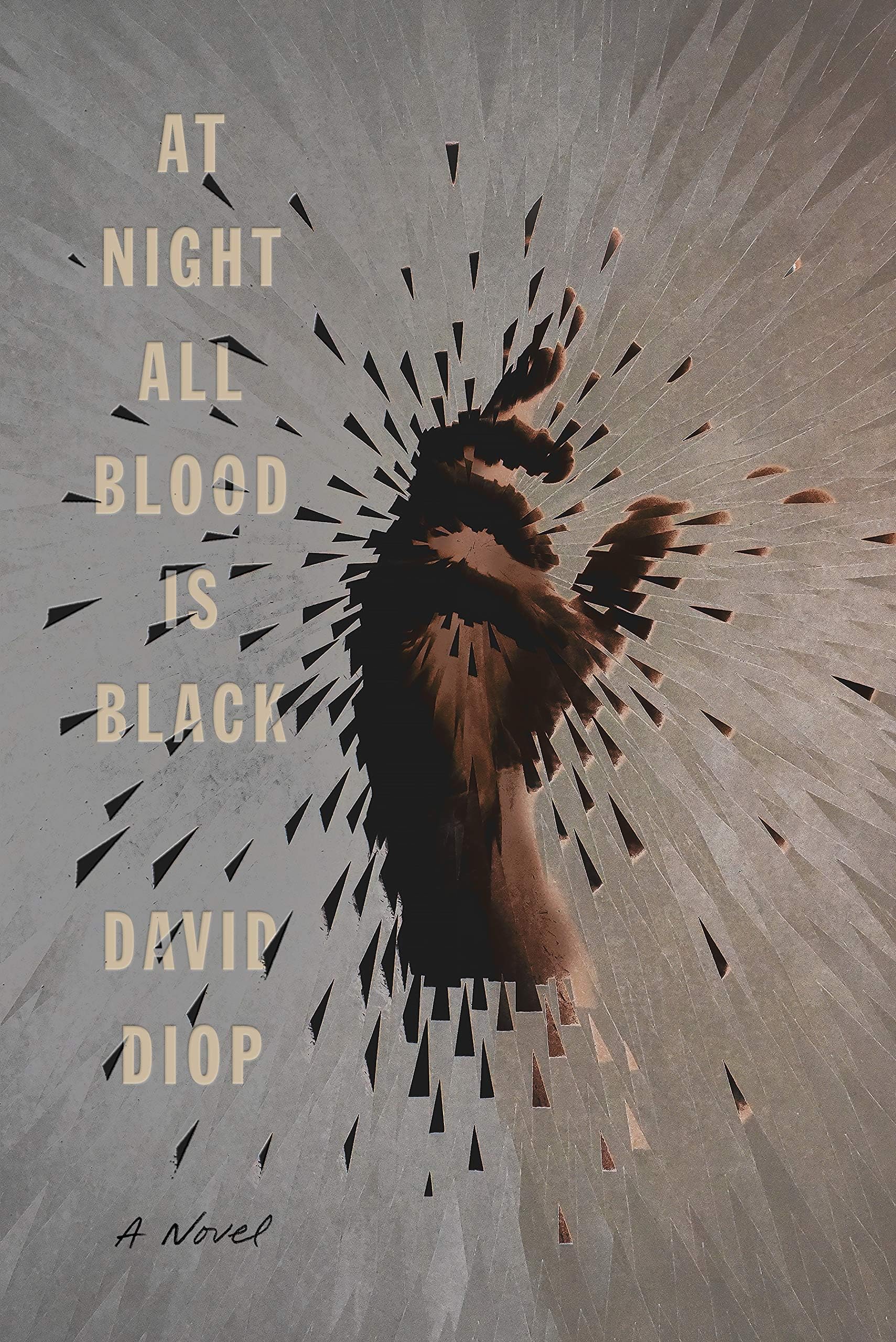 David DiopAt Night All Blood Is Black: A Novel