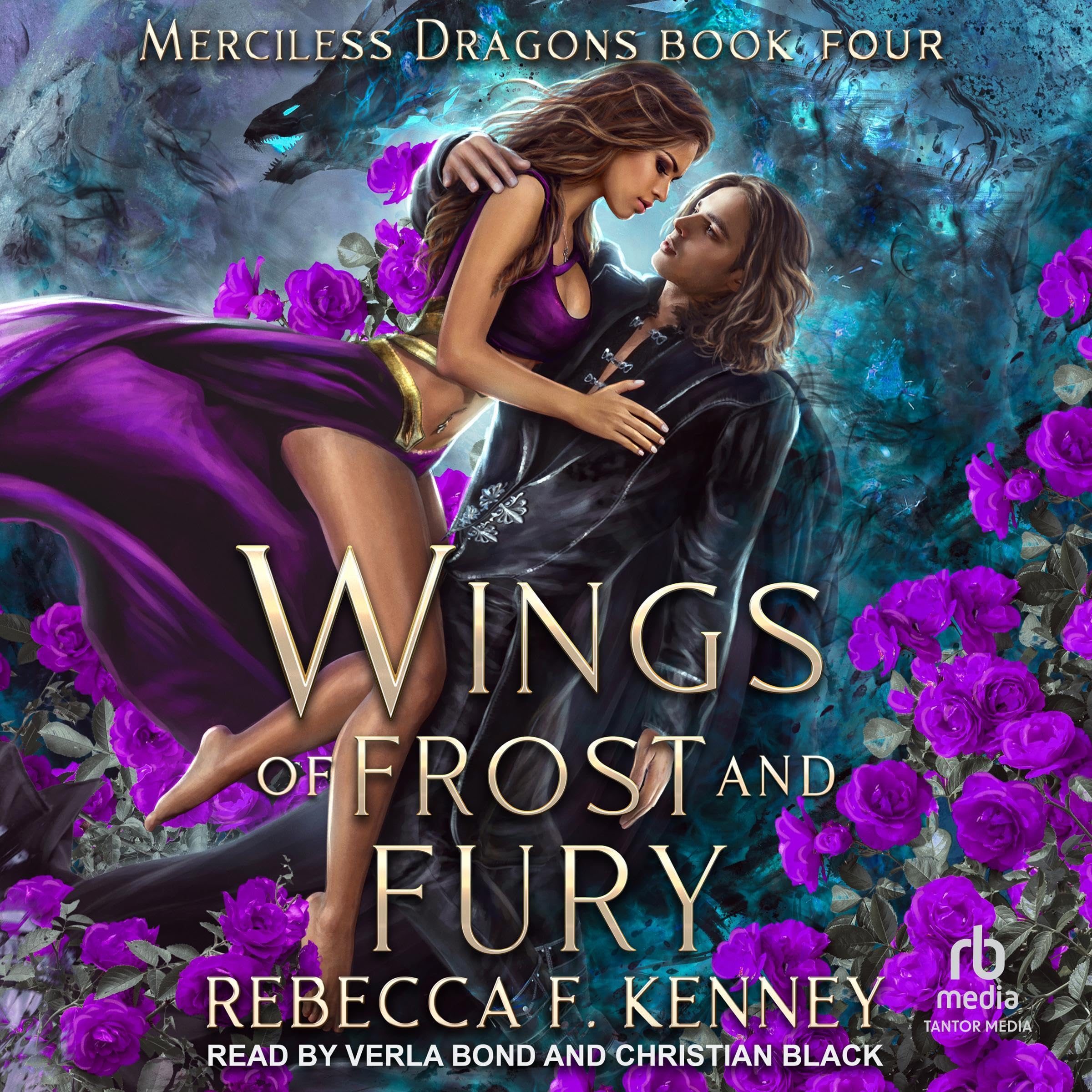 Cover art for Wings of Frost and Fury