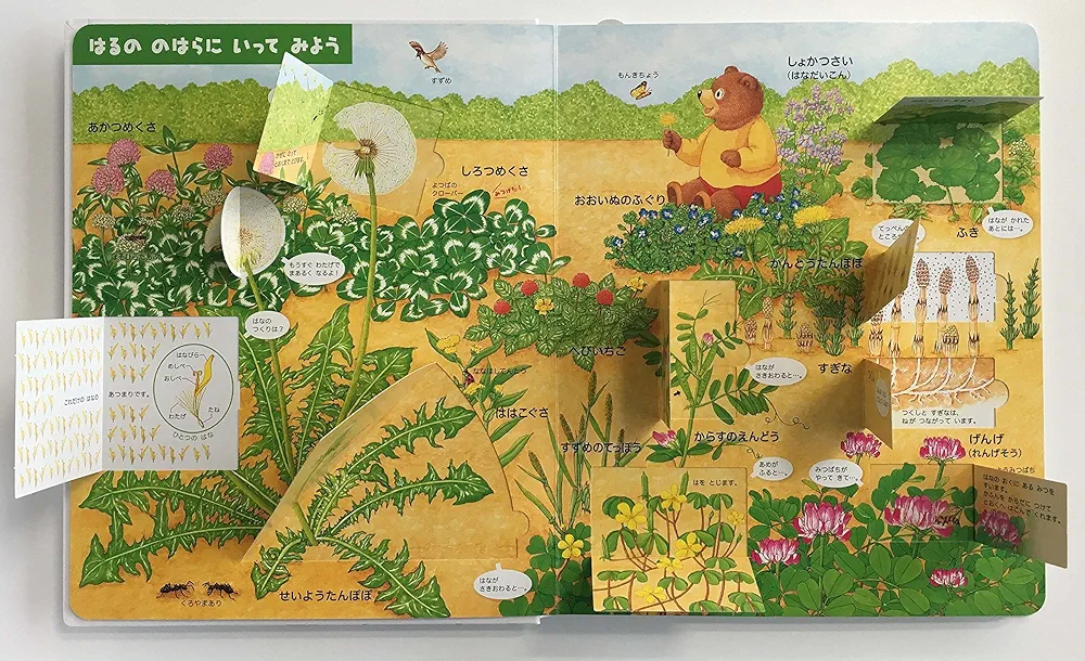 Amazon.co.jp: しょくぶつ (はっけんずかん) 3~6歳児向け 図鑑