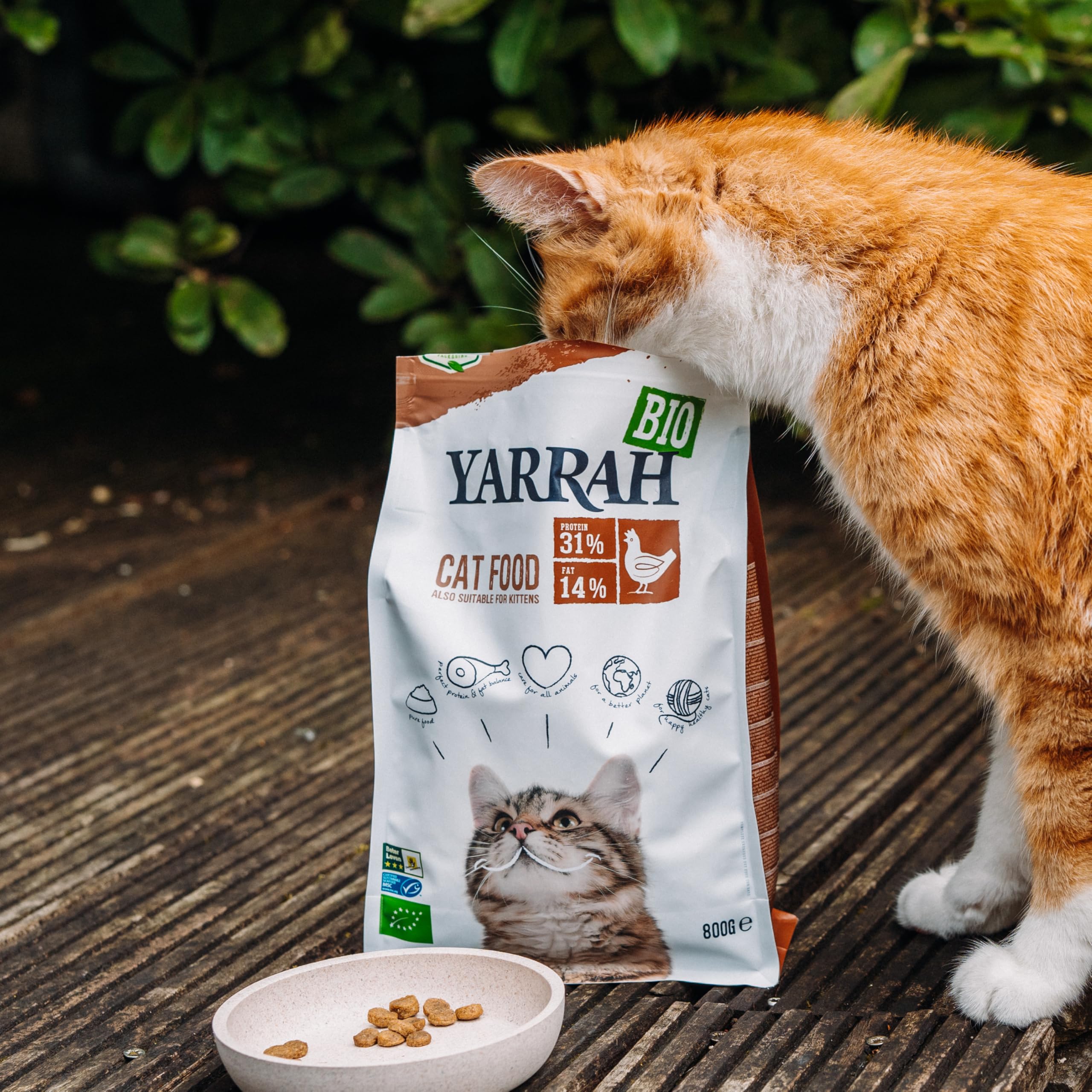 Yarrah Bio Katze Trockenfutter weizenfrei Huhn & Fisch (MSC) ? auch für Kätzch 1 x 2400 g