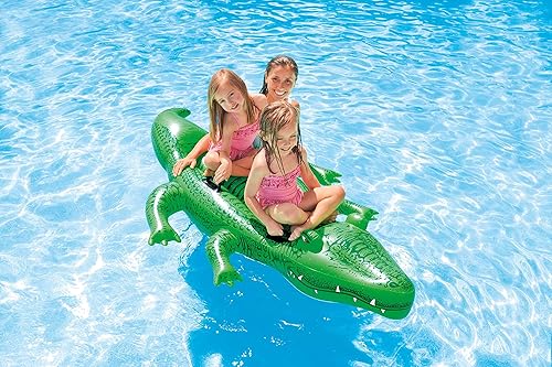 Vista 2 de INTEX Inflatable Pool Float: Pool Toy for Kids