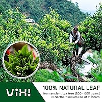Vista 2 de VIXI Té negro hoja suelta, (8.00 onzas), té de montaña de Vietnam, sabor atrevido, sabor a té Assam, hojas grandes enteras secas, 100% natural
