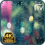 Rain on Window Screensaver - Real Rain & Nature Sounds