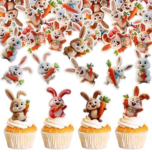Ercadio 40 Pack Easter Bunny Cupcake Toppers