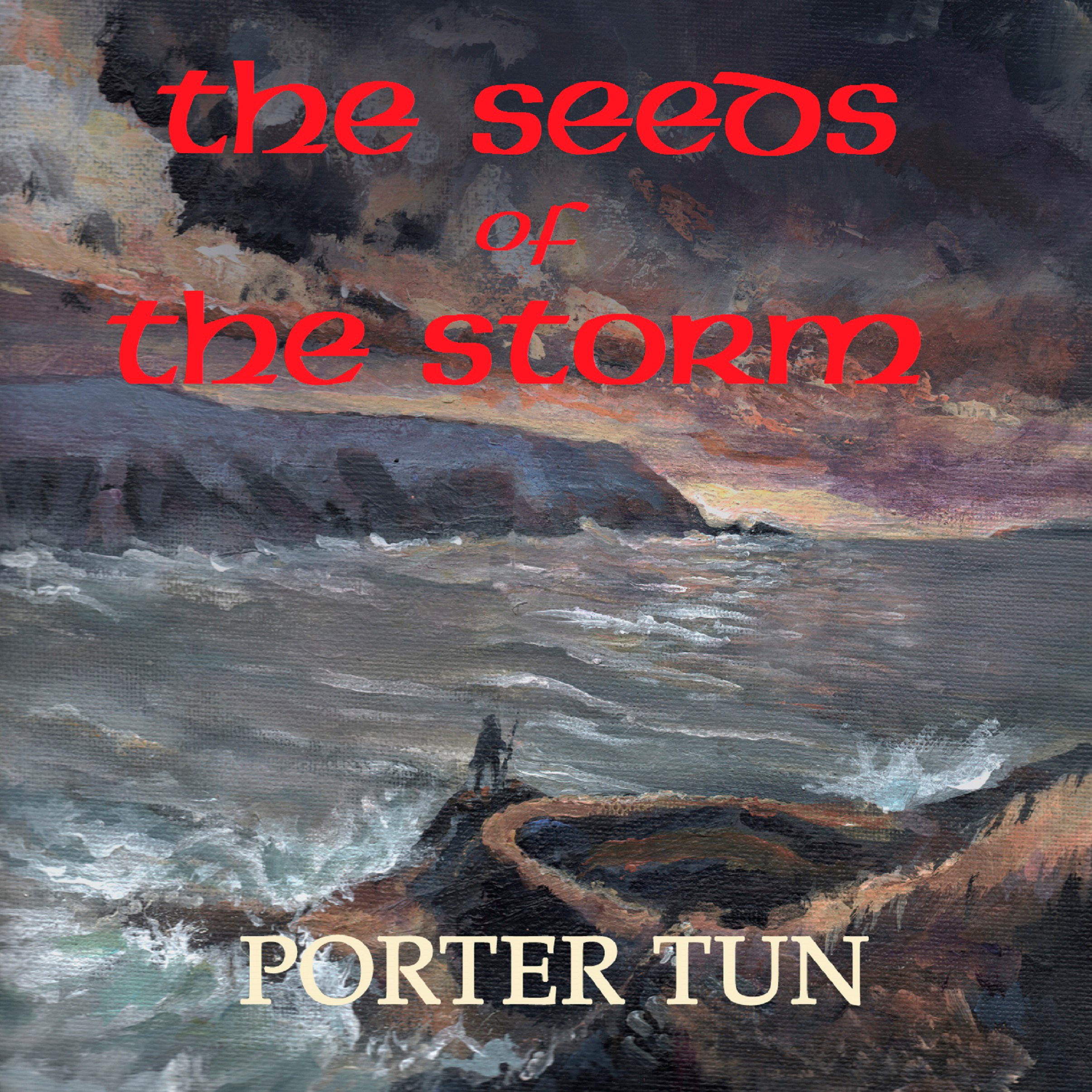 Cover art for The Seeds of the Storm