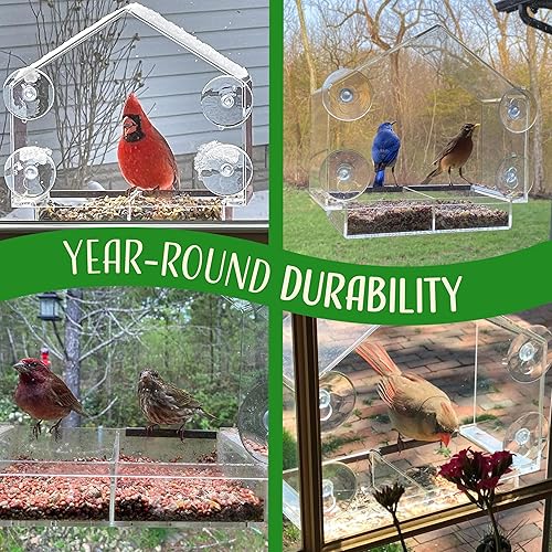 Vista 4 de Window Bird Feeder with Strong Suction Cups, Clear Window Feeders for Outside - Transparent Bird House, Balcony Glass Mount, Acrylic Cat, Kids &