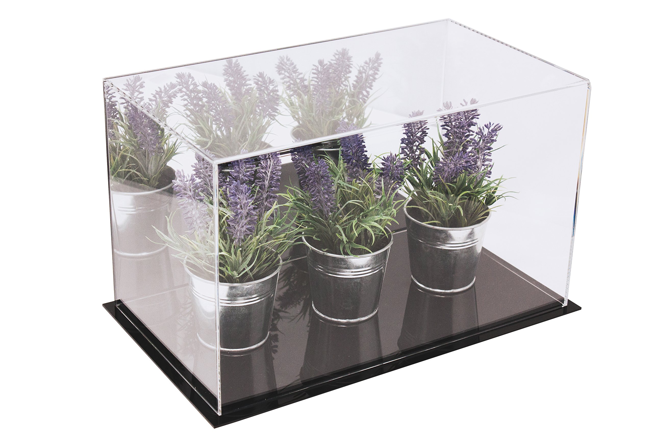 Better Display Cases Deluxe acrílico Vitrina con sólida Base de Color Negro, 35.5 cm x 20.3 cm x 21.5 cm con Reflejo, Clear with Black Base