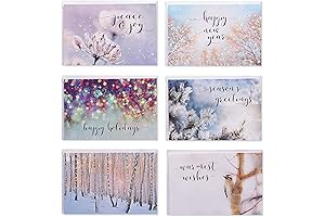 American Greetings Blank Holiday Cards with Envelopes, Winter Nature