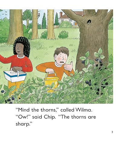 Oxford Reading Tree: Level 5: More Stories C: Pack of 6