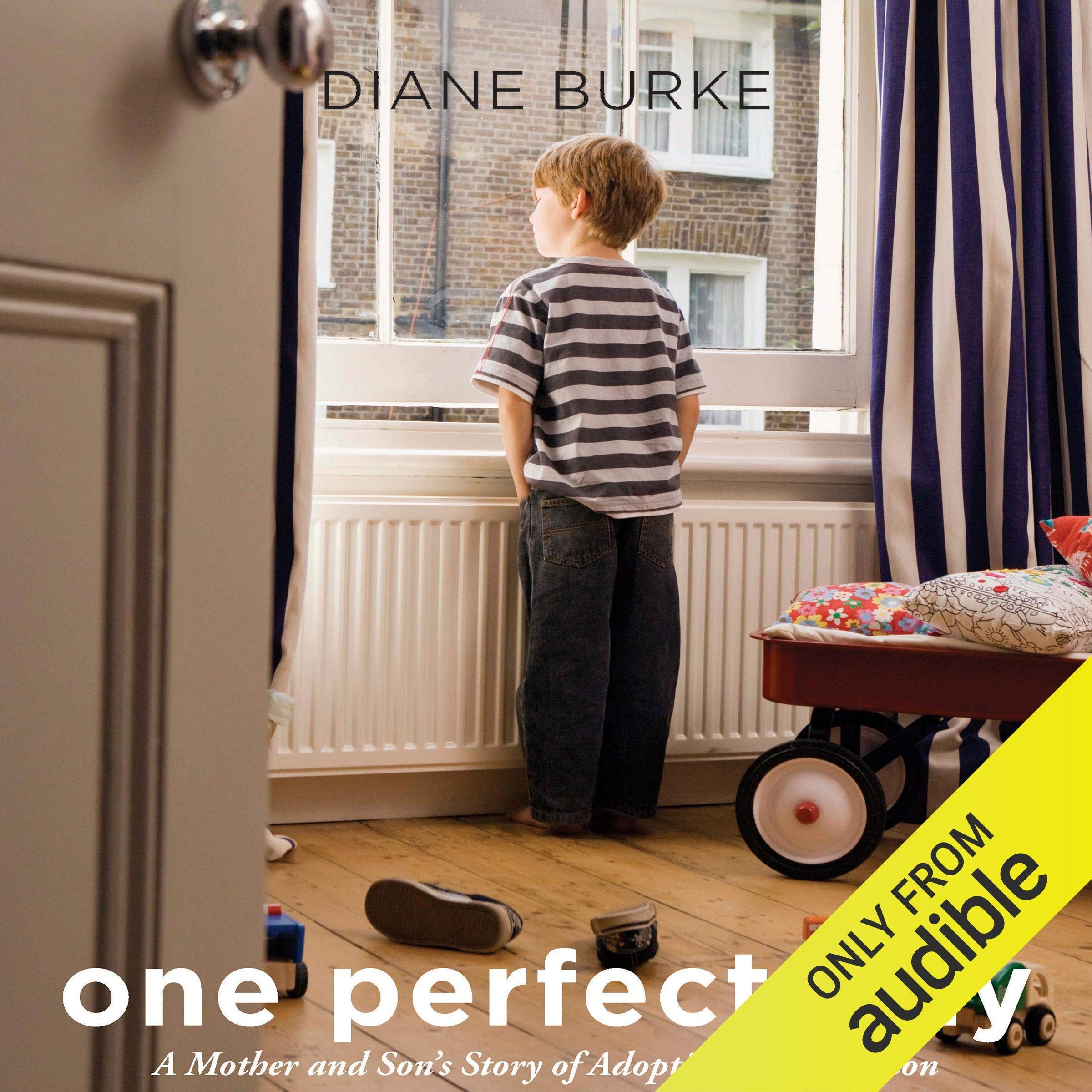 Cover art for One Perfect Day