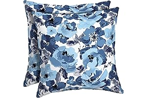 Arden Outdoor Chair Pillows Set of 2