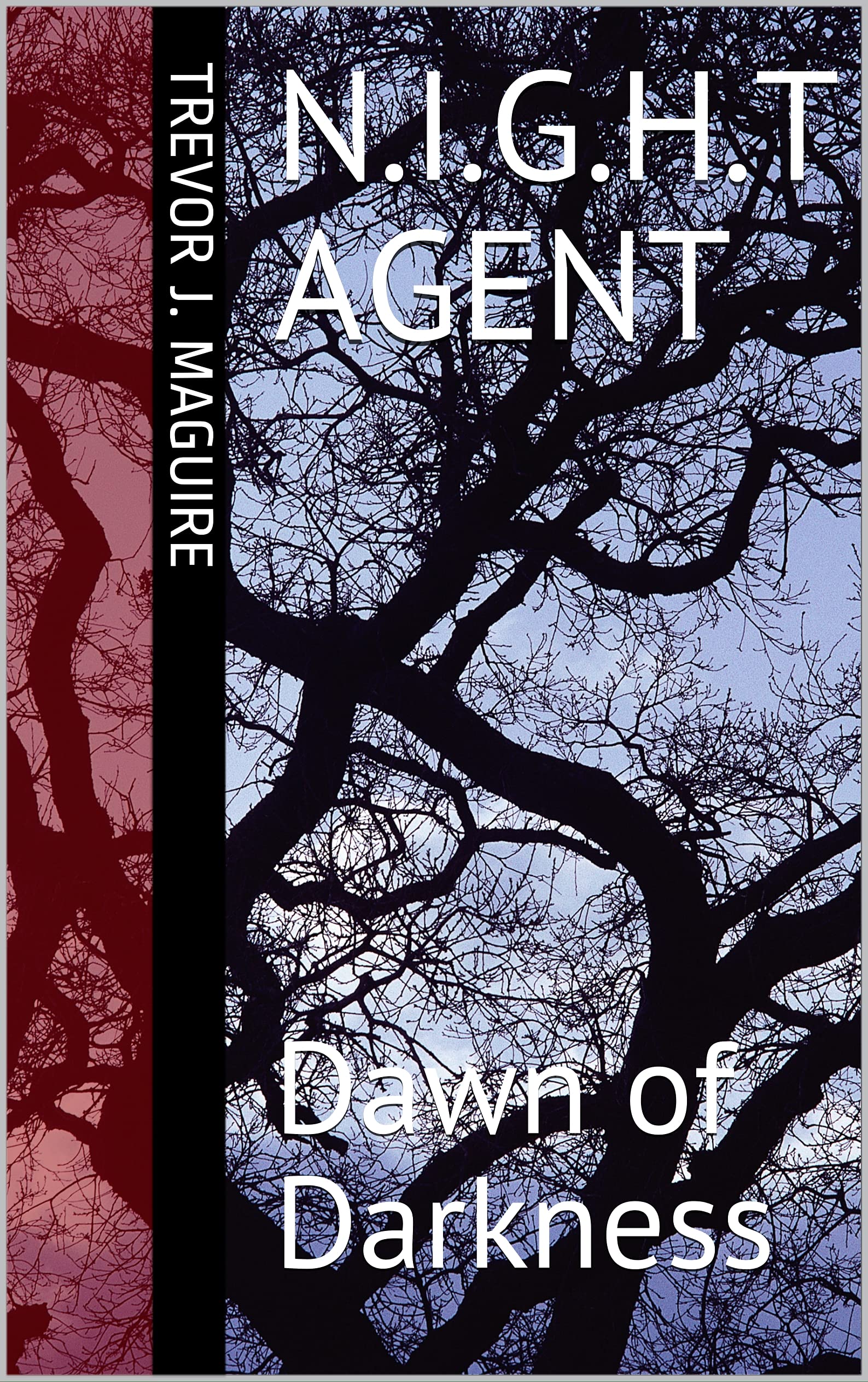 N.I.G.H.T Agent: Dawn of Darkness