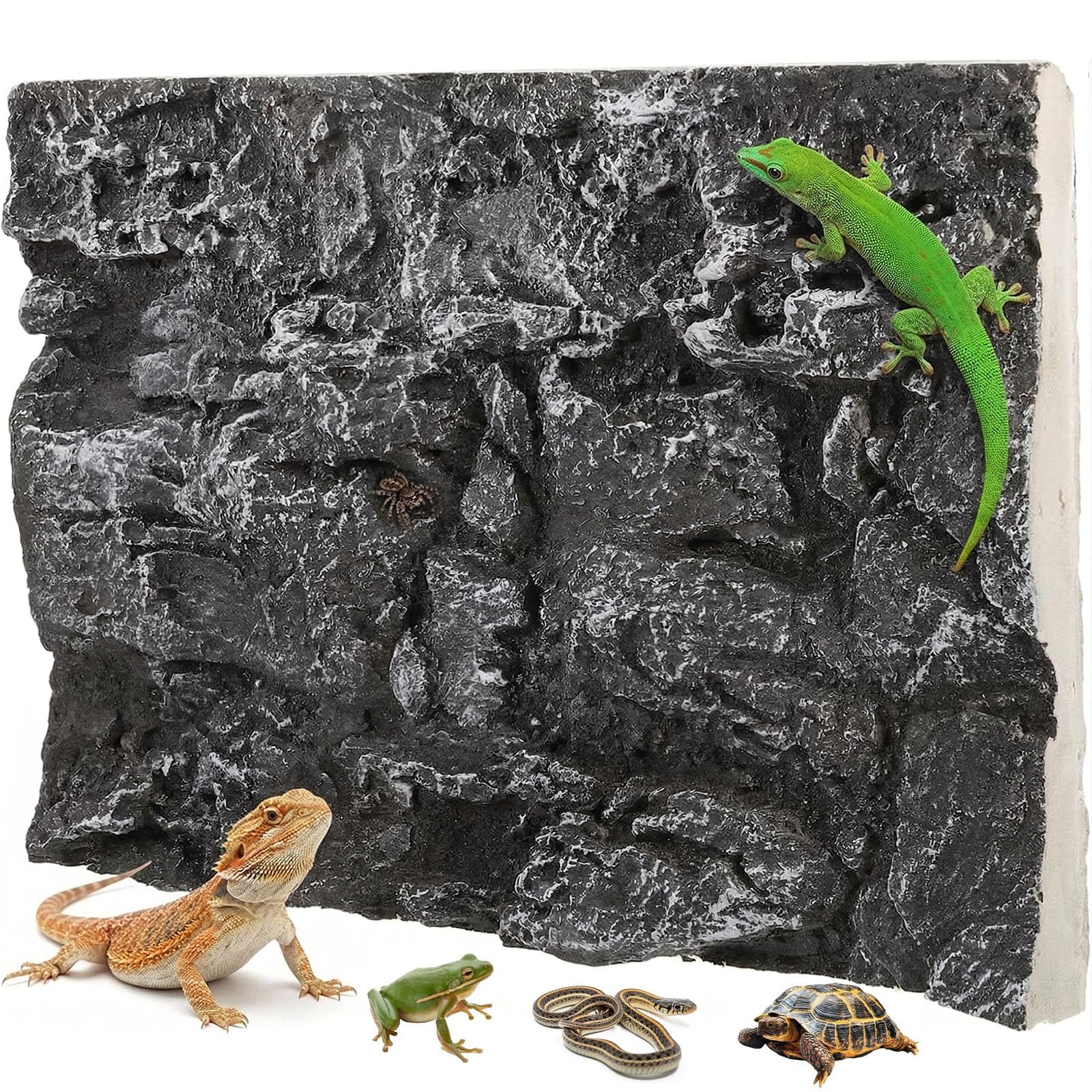 Toddmomy Toile de fond 3D pour terrarium de reptiles - Toile de fond décorative pour terrarium barbu, lézard, gecko, araignée, caméléon, tortue, poisson