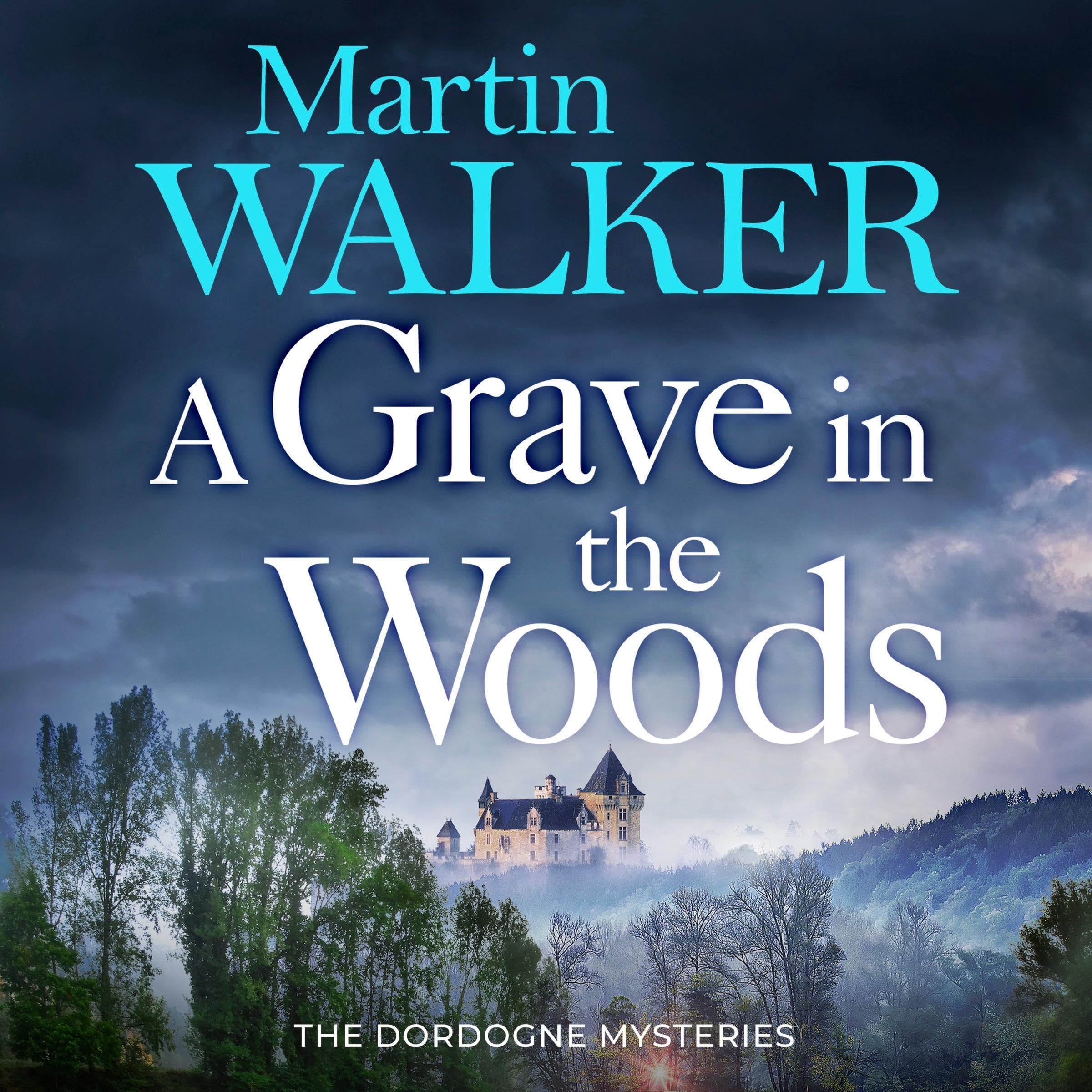 Cover art for A Grave in the Woods