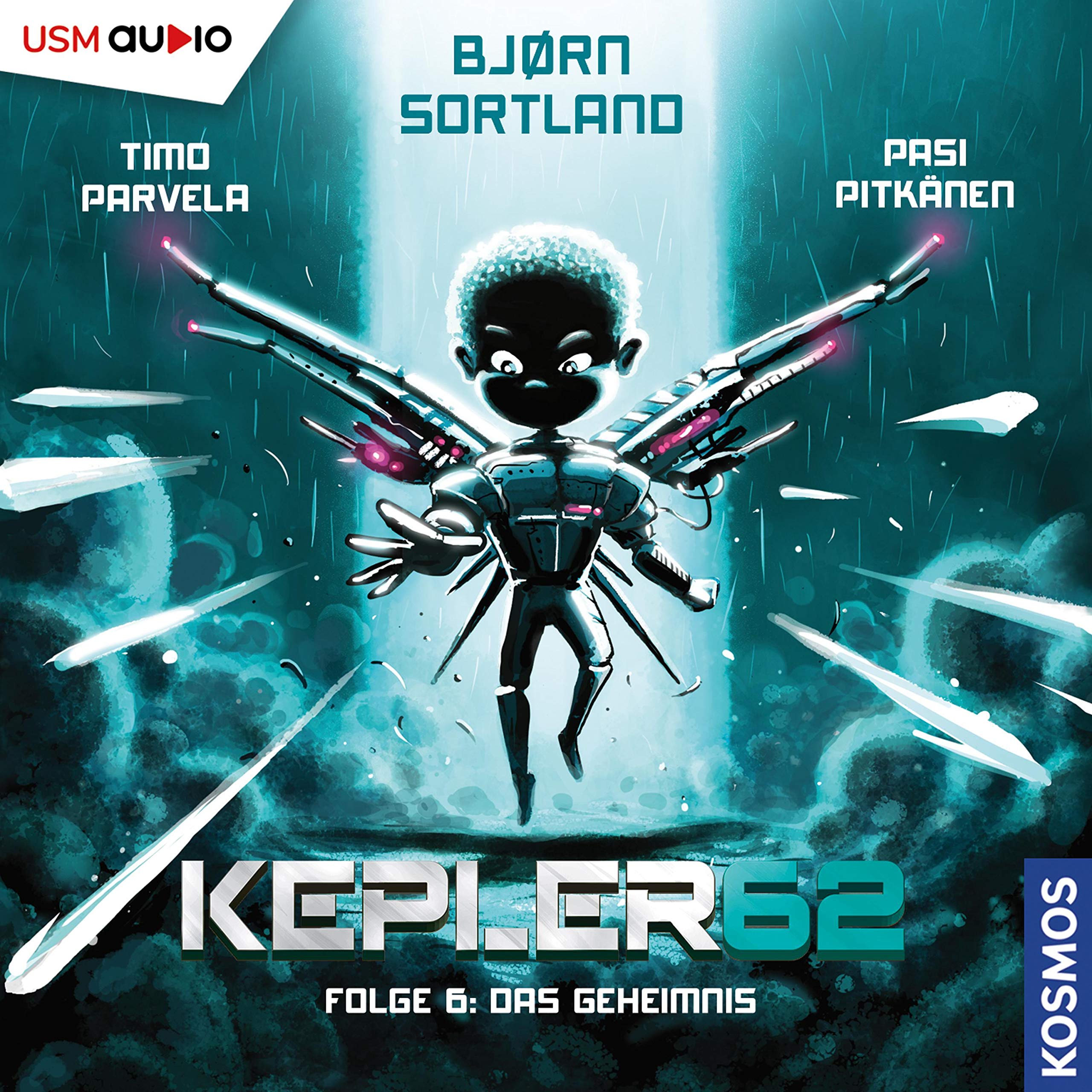 Cover art for Das Geheimnis