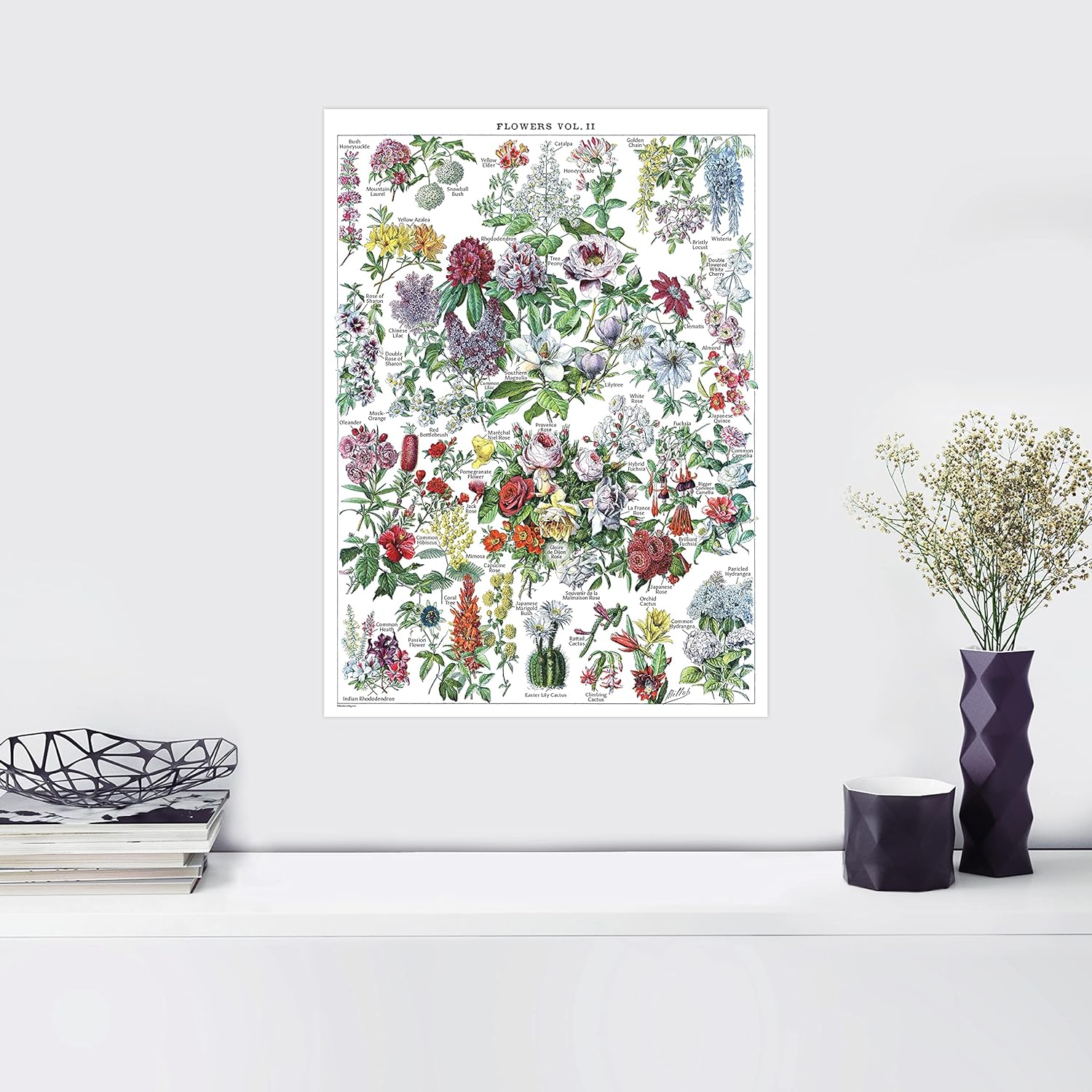 Vintage Flower Poster Prints - Floral Botanical Identification Reference Chart Volume 1 & 2 (LAMINATED, 18" x 24"): Posters & Prints