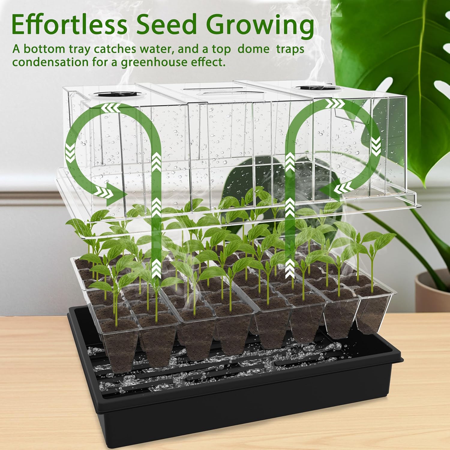 Gardzen Seed Starter Trays, 3 Set Seed Starting Kit with High Dome & Sturdy Base, Reusable Plant Starter Trays with Clear Cells for Seedlings and Microgreens