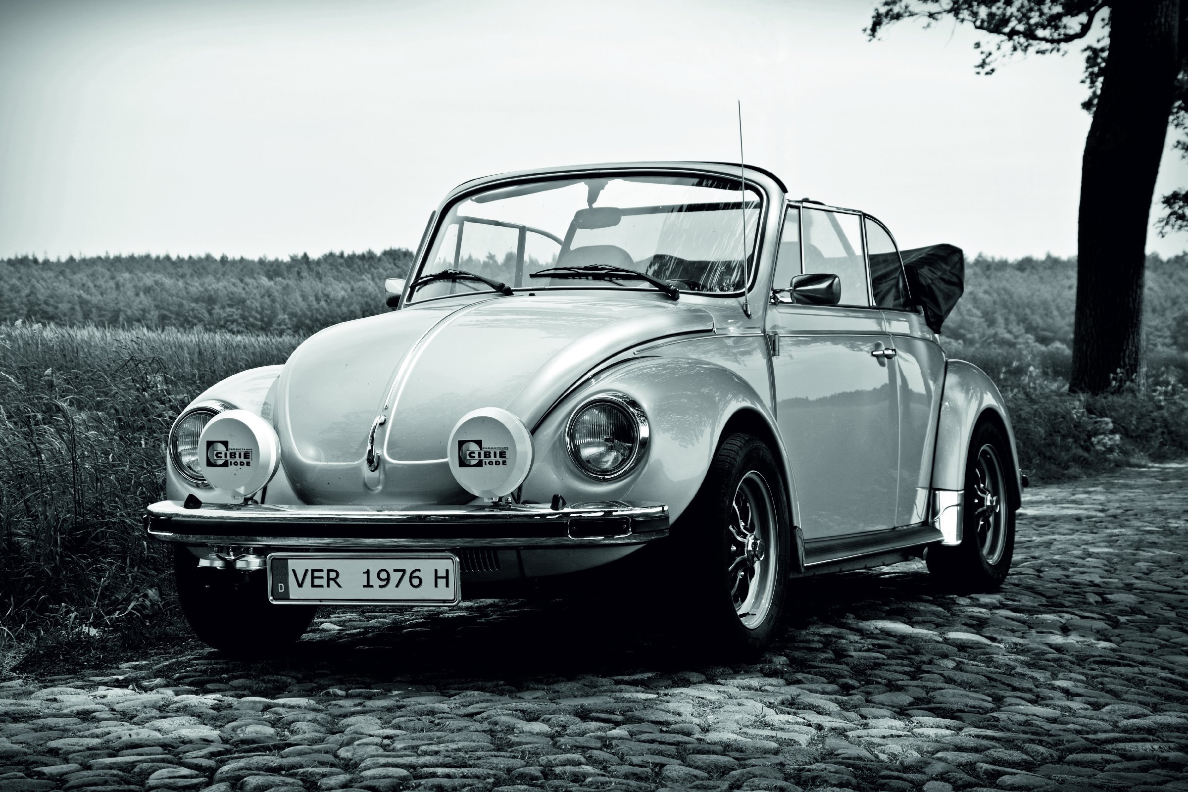 Wall Picture 200 x 115 cm VW Beetle Photo Wallpaper Poster XL 