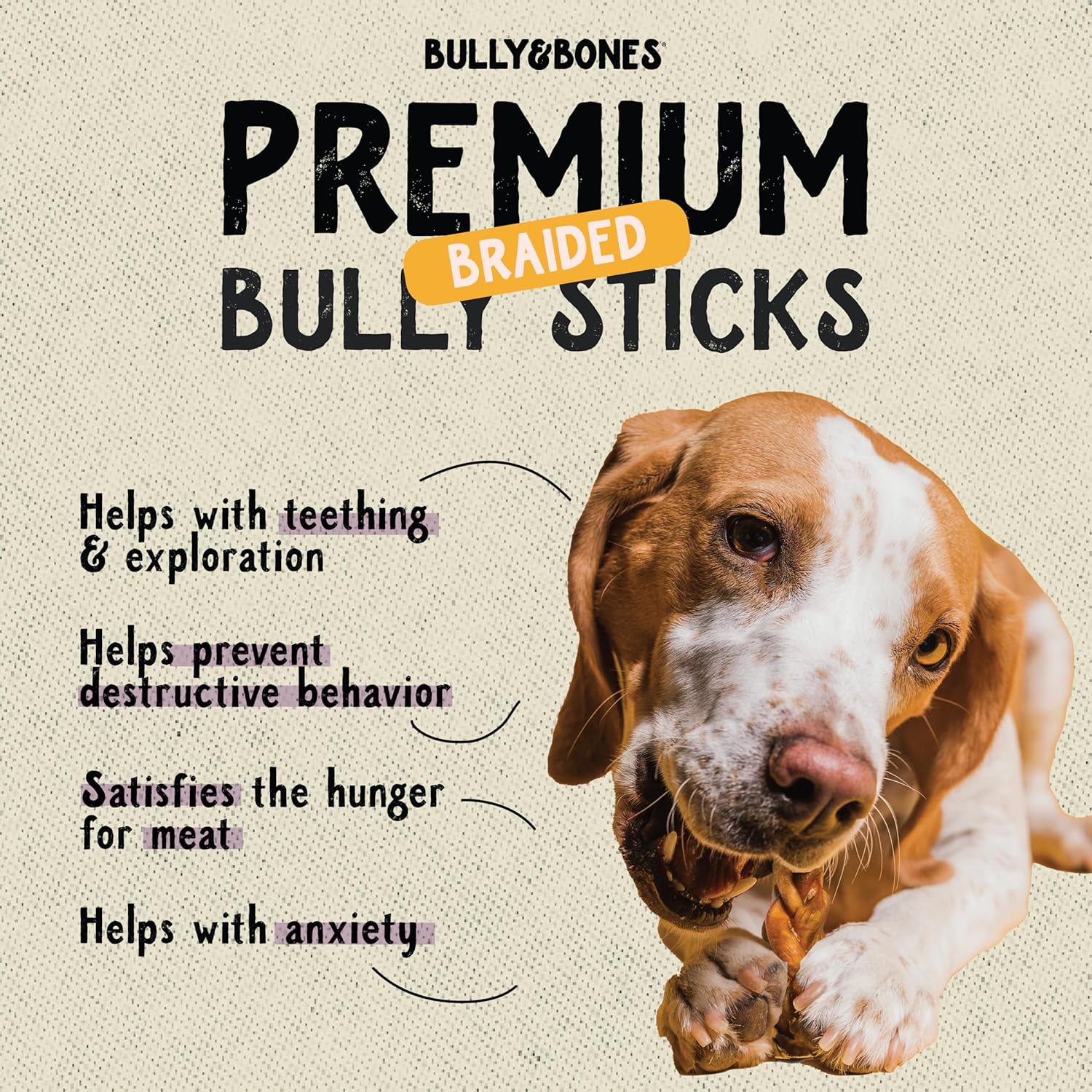 Bully & Bones 12 Inch Odor Free Braided Bully Sticks (5 Pack) for Dogs. Healthy Single-Ingredient Beef chew Treats Crafted to Stimulate Your Dog’s Taste Buds. 12” Braided Bully Sticks.