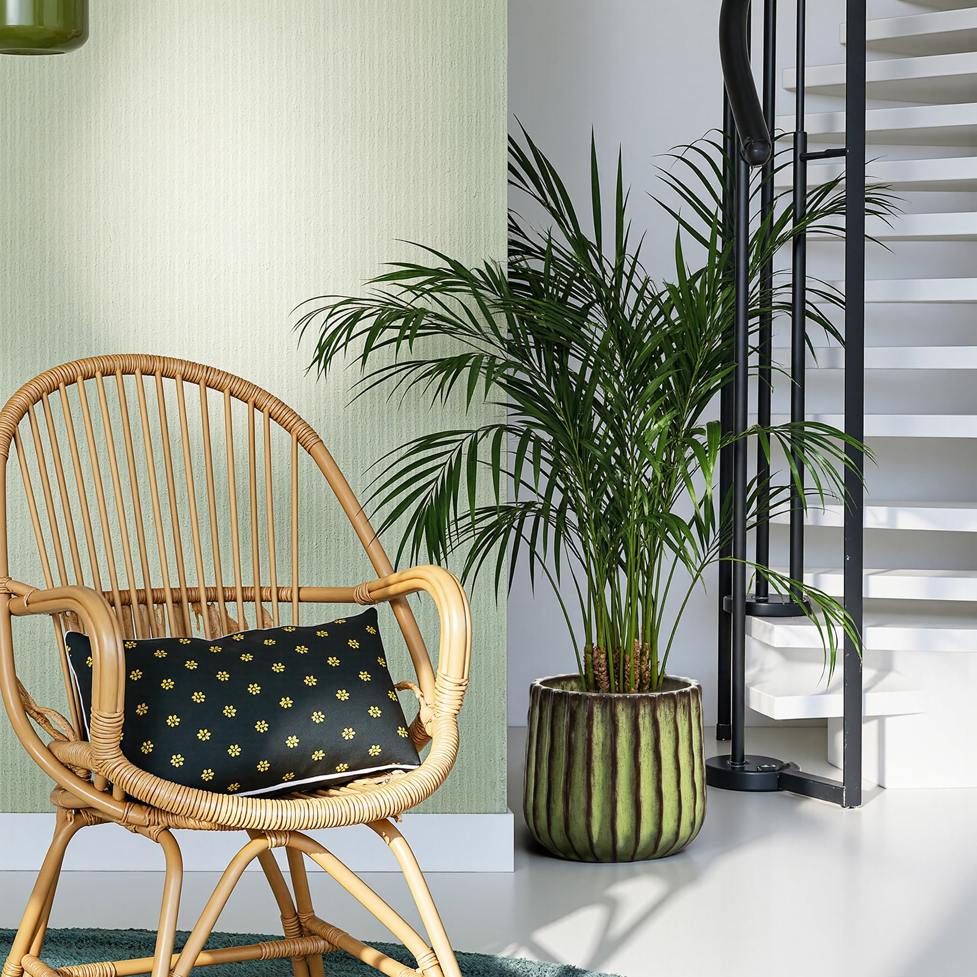 Hometopia Keramik Blumentopf, rund, mit Ablaufloch, Ø 23 cm, Olivgrün | Keramik,Frostsicher Wetterfest,Massiver Pflanzkübel mit Drainage-Loch ideal für Balkon&Garten,Terrasse,Wohnzimmer Ø23xH21 cm