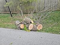 Review Image by Amazon Customer