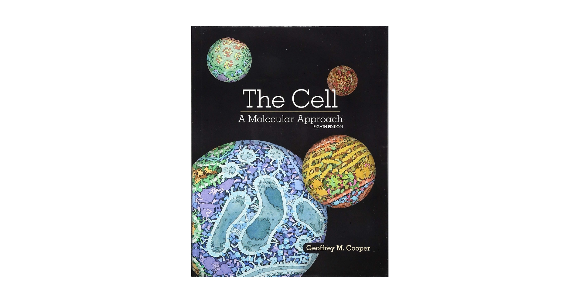 The Cell: A Molecular Approach: Cooper, Geoffrey