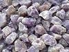 GAF TREASURES Wholesale Raw Tree Agate Crystals, Natural Tree Agate, Natural Rough Tree Agate Crystals, Tree Agate Healing Crystals (Tree Agate, 0.25 Pound)