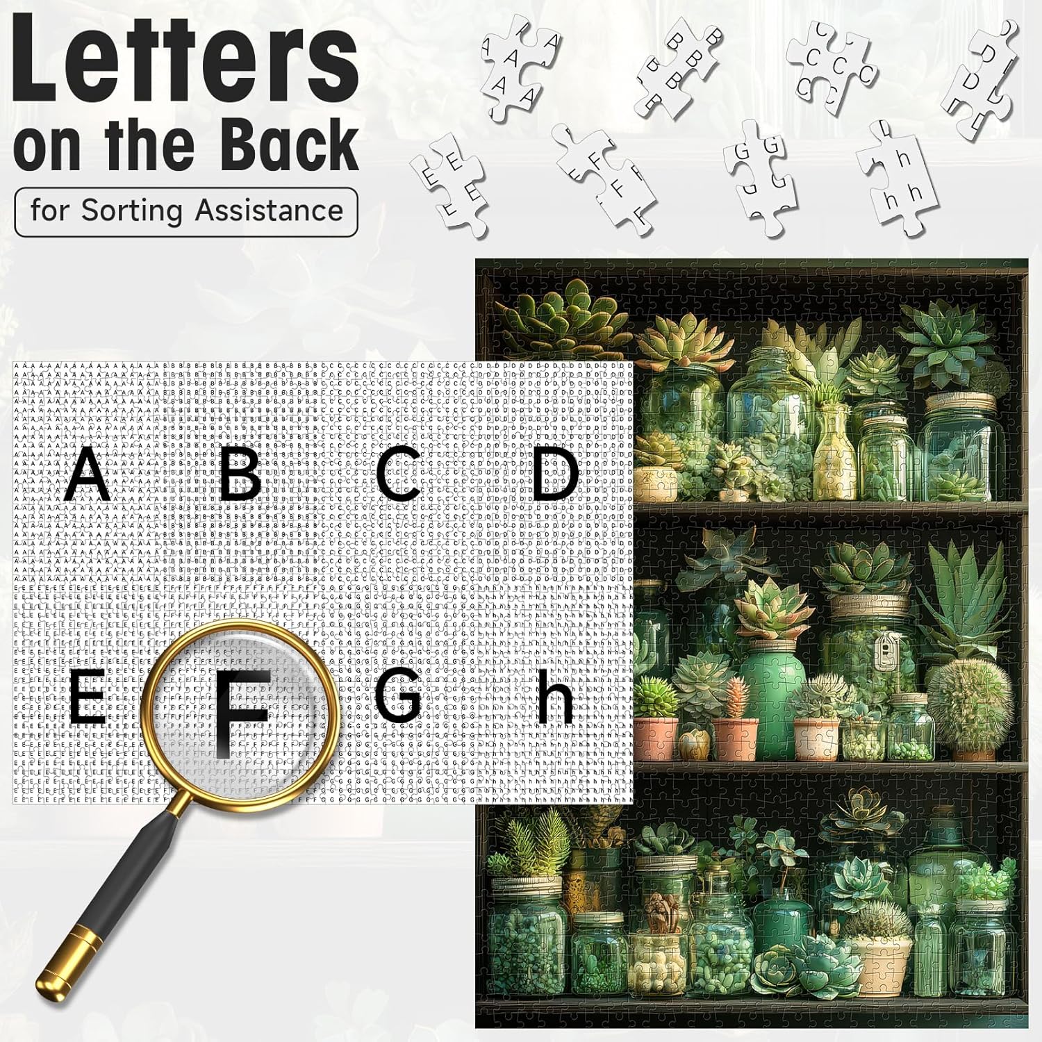 1000 Piece Puzzle for Adults with Letters on Back, Succulent Plants in Glass Containers Display Shelf Jigsaw, 20x28 Inch Botanical Puzzles for Adults & Seniors, Nature Themed Home Decor & Mindful Gift