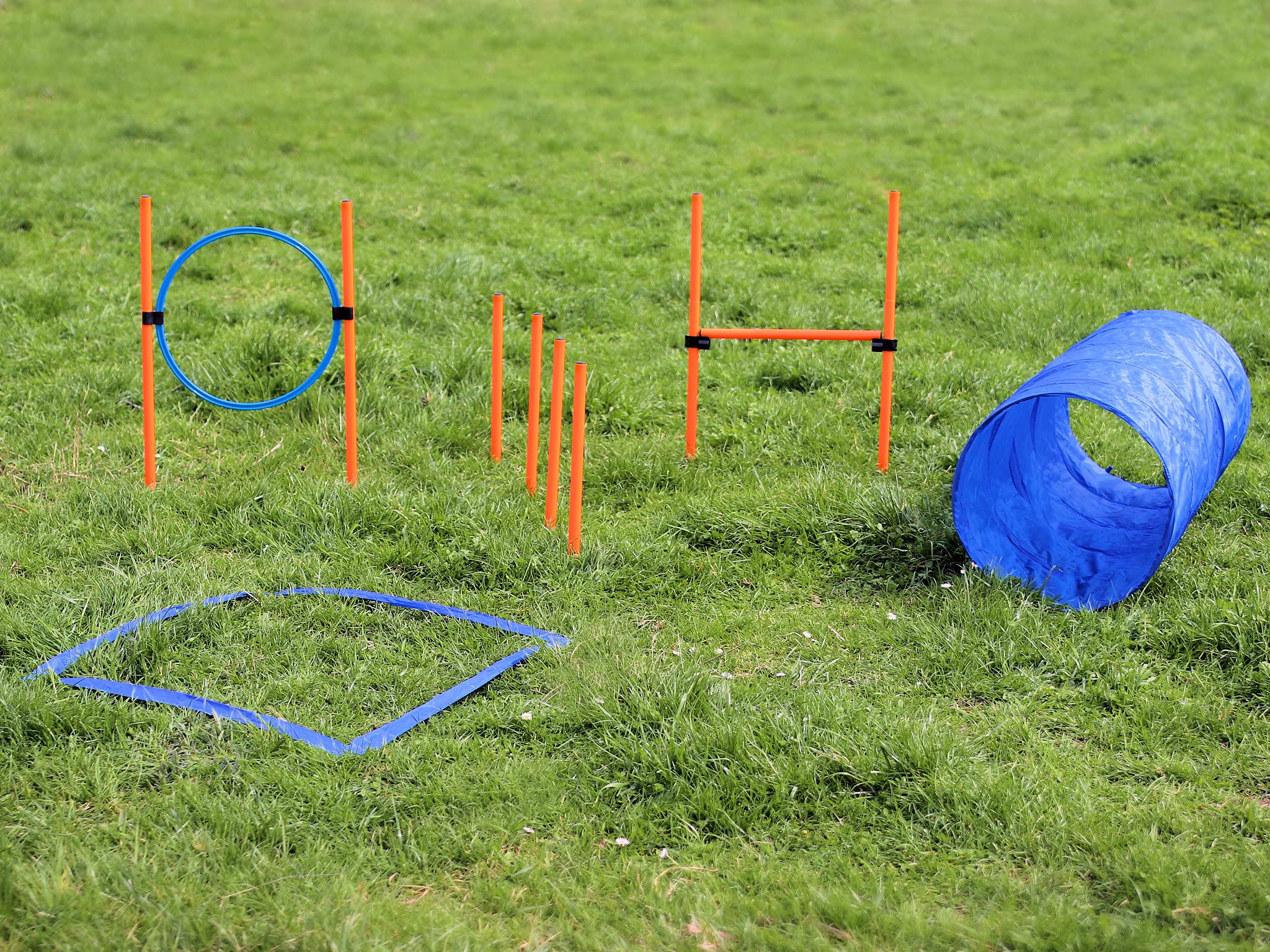 Agility Dog Trainings Set X Tunnel-Sprungring-Hürden-Slalom-Stangen für Hunde
