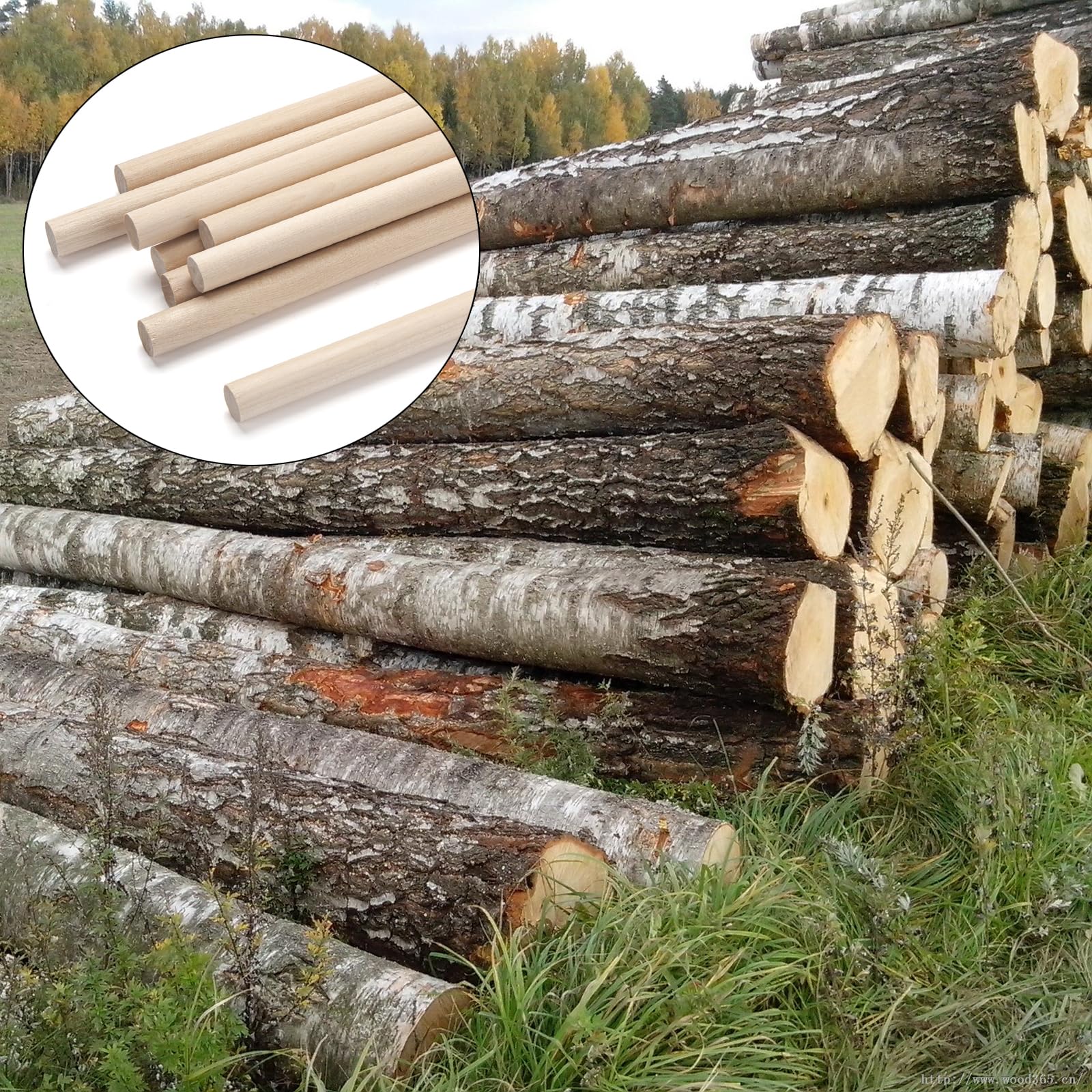 ZENFUN Lot de 50 tiges en bois de pin brut de 1,27 cm x 30,5 cm, bâtons ronds en bois de pin poncés lisses pour travaux manuels, projets de bricolage, projets de ZENFUN Lot de 50 tiges en bois de pin brut de 1,27 cm x 30,5 cm, bâtons ronds en bois de pin poncés lisses pour travaux manuels, projets de bricolage, projets de