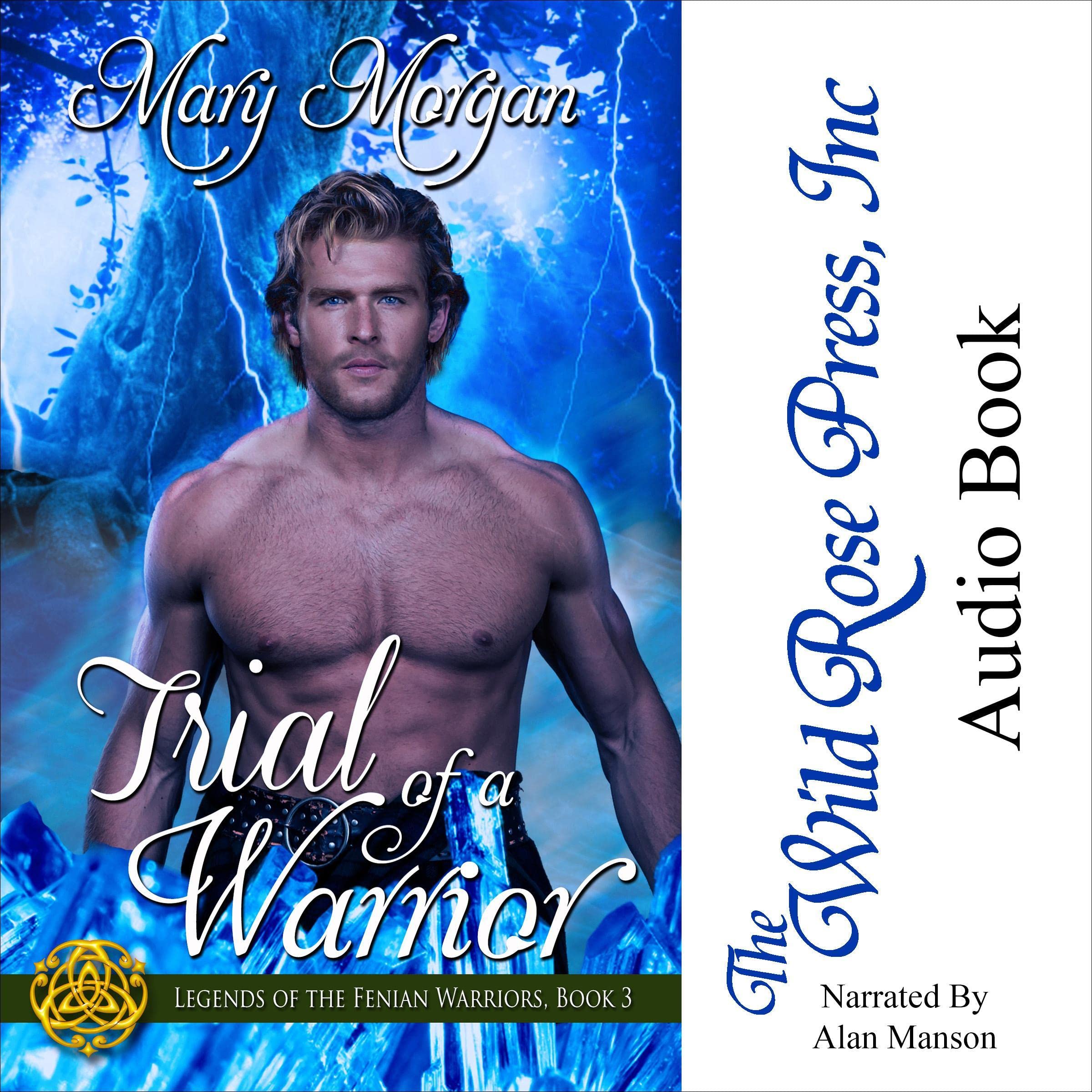 Cover art for Trial of a Warrior