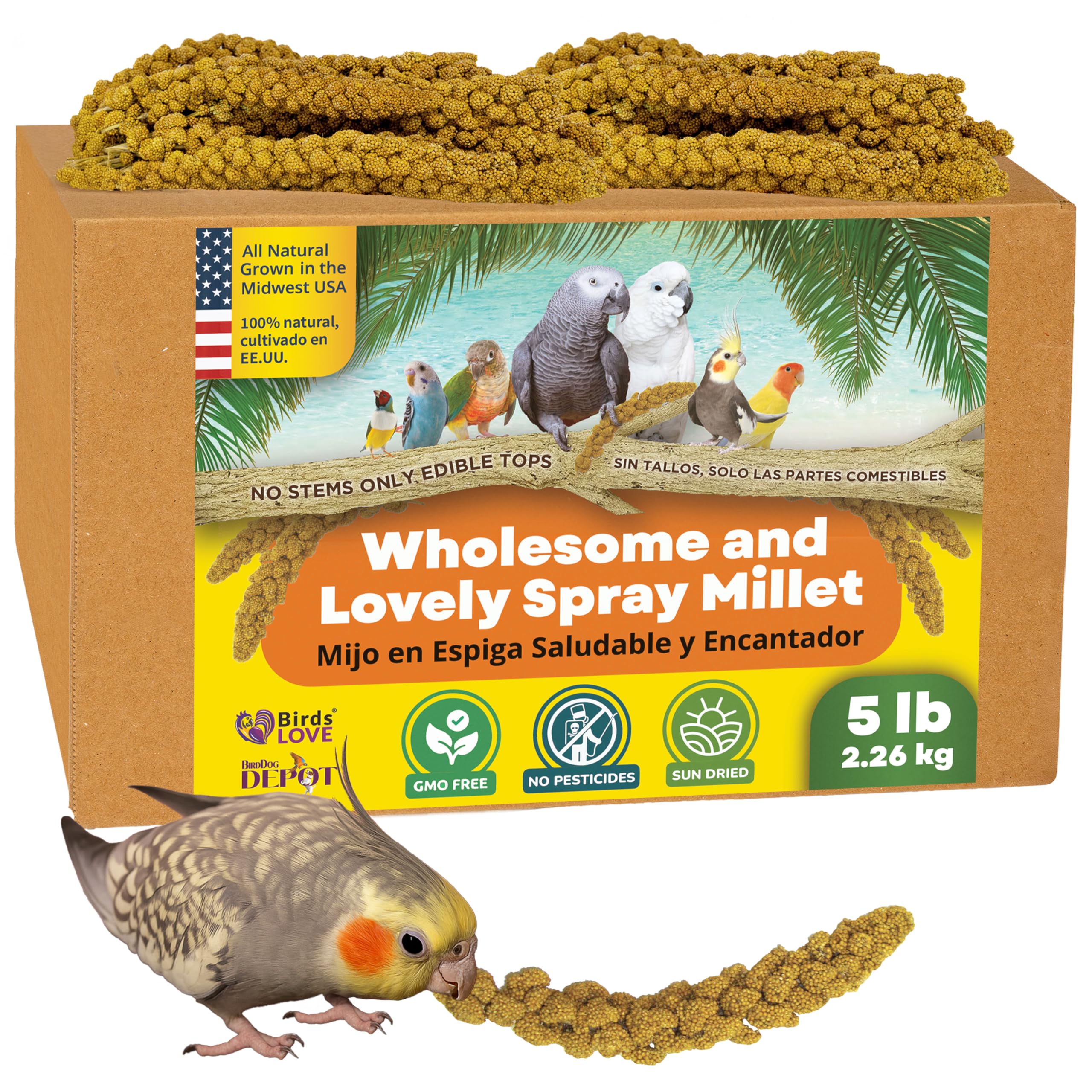 5lbs Wholesome Spray Millet for Birds – Grown, Harvested & Packed in The USA – 100% Natural, Sun‑Dried Bird Treat – Foraging Millet for Parakeets, Cockatiels, Conures, Budgies & Parrots